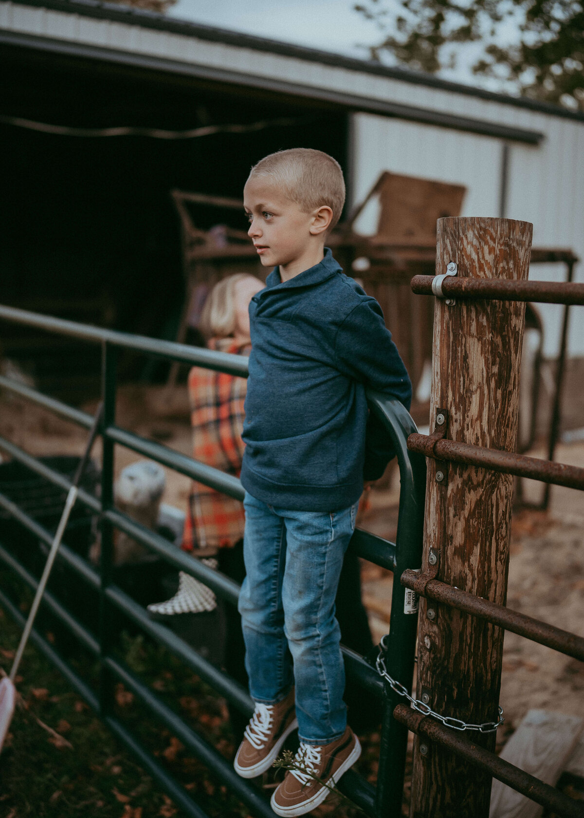 A young boy stands on his families cattle gate on their farm as he watches the cows come in for the evening.