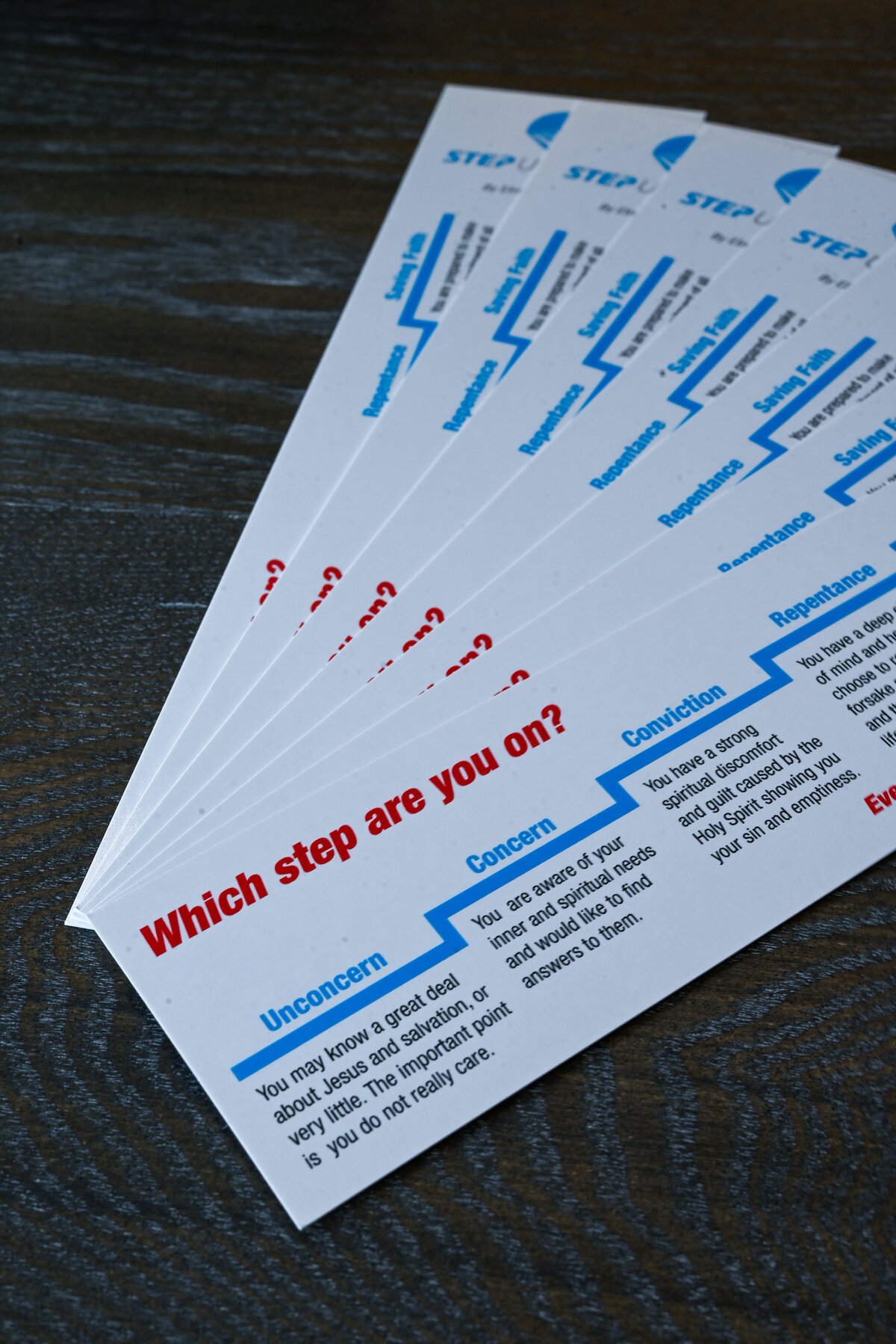 SUTL Photoshoot August 2025-37