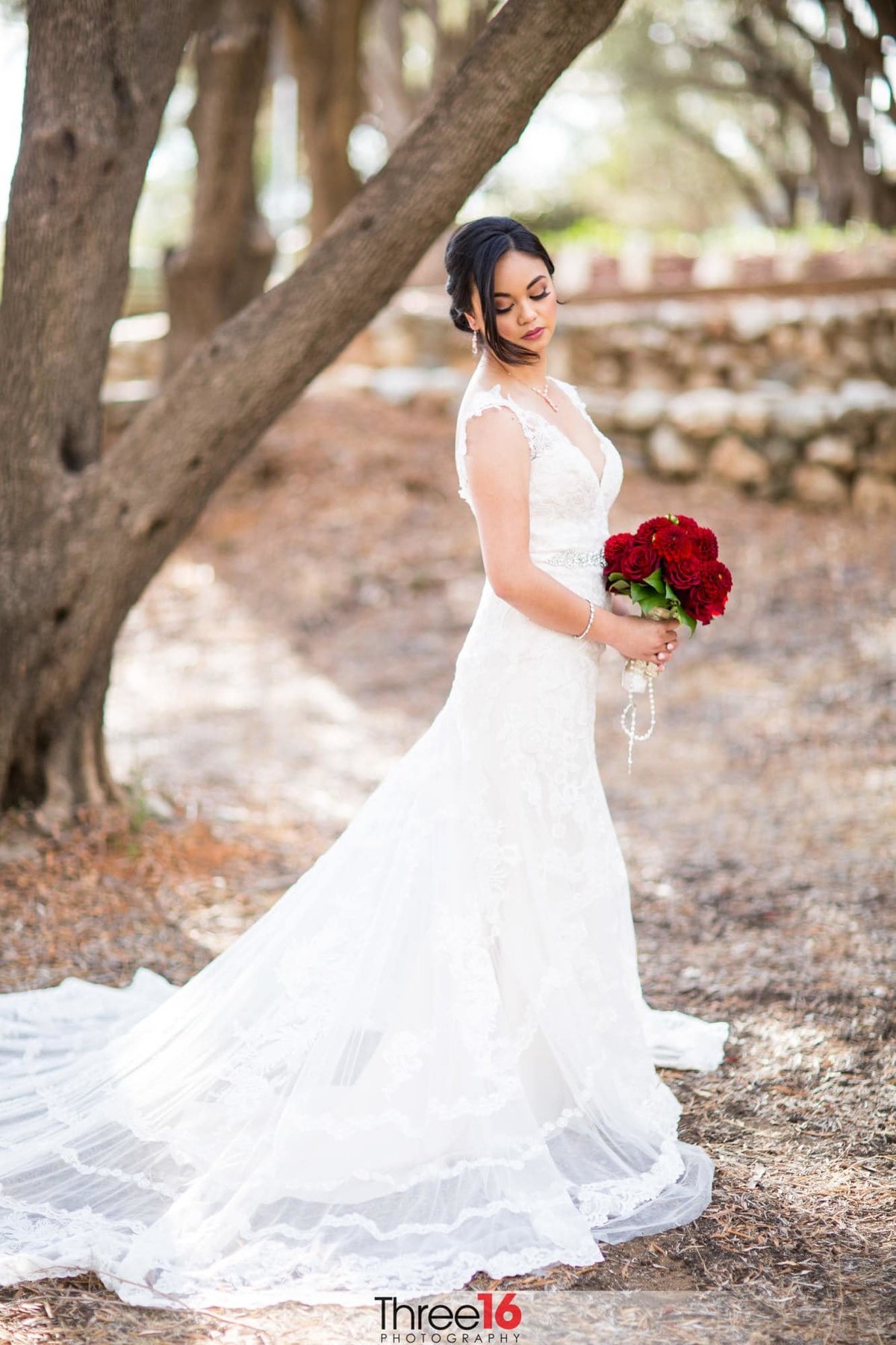 Beautiful Bride poses with her dress fanned out under a tree