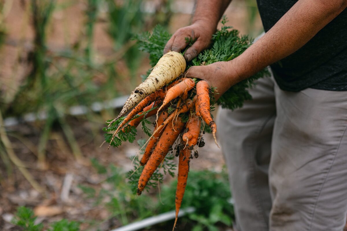 Leap-Lab-Science-Farm-Ventura-California-Santa-Paula-Non-Profit-0013