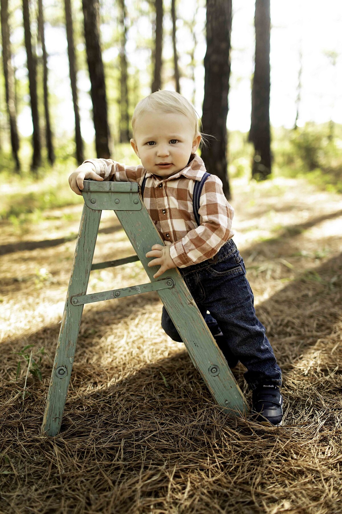 One-year-old birthday boy perched on a mini ladder among the tall pine trees, looking joyful and playful