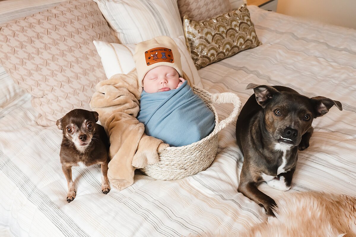 Lifestyle Newborn Photographer Pittsburgh-53