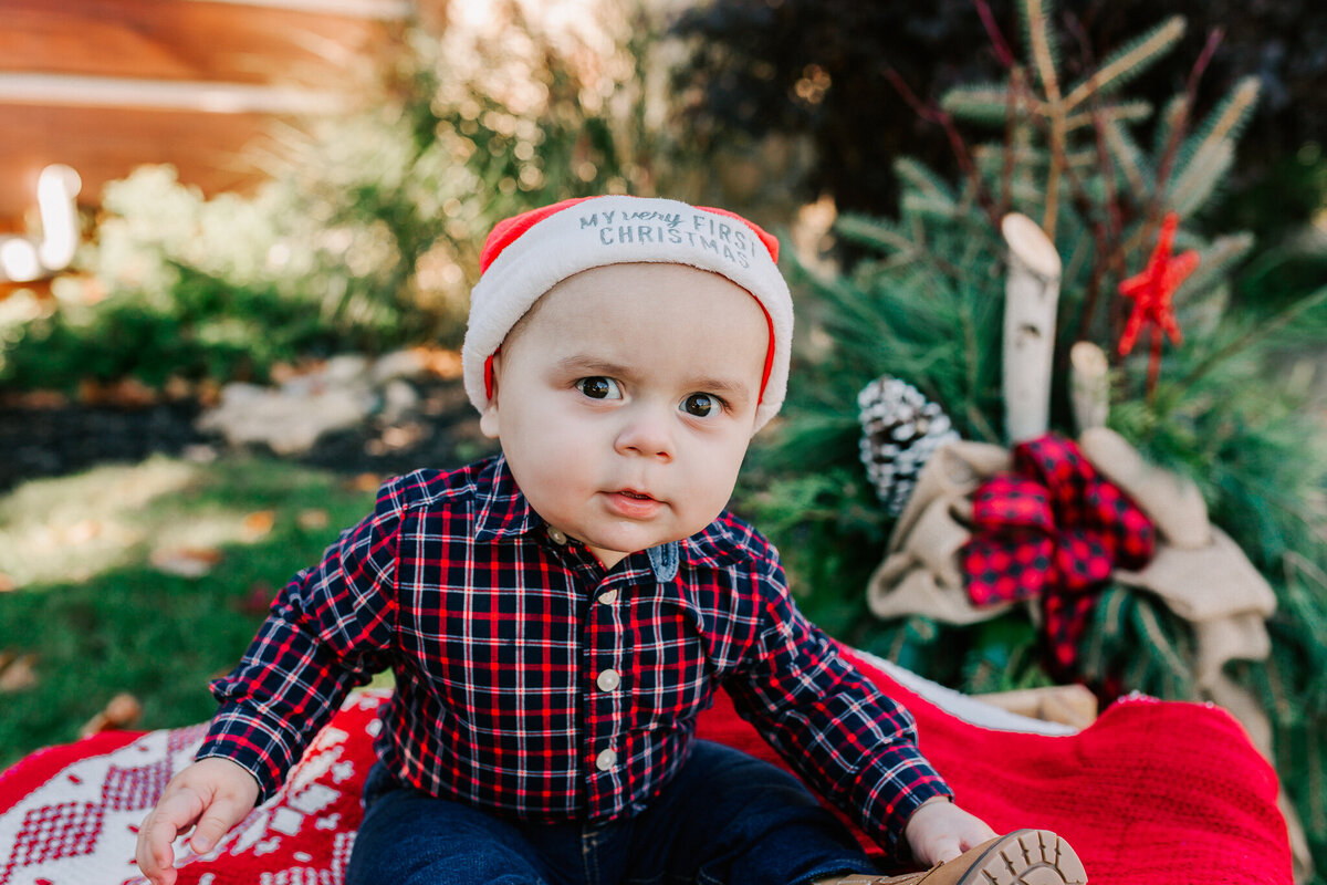 Guelph-Christmas-Photographer-232-2