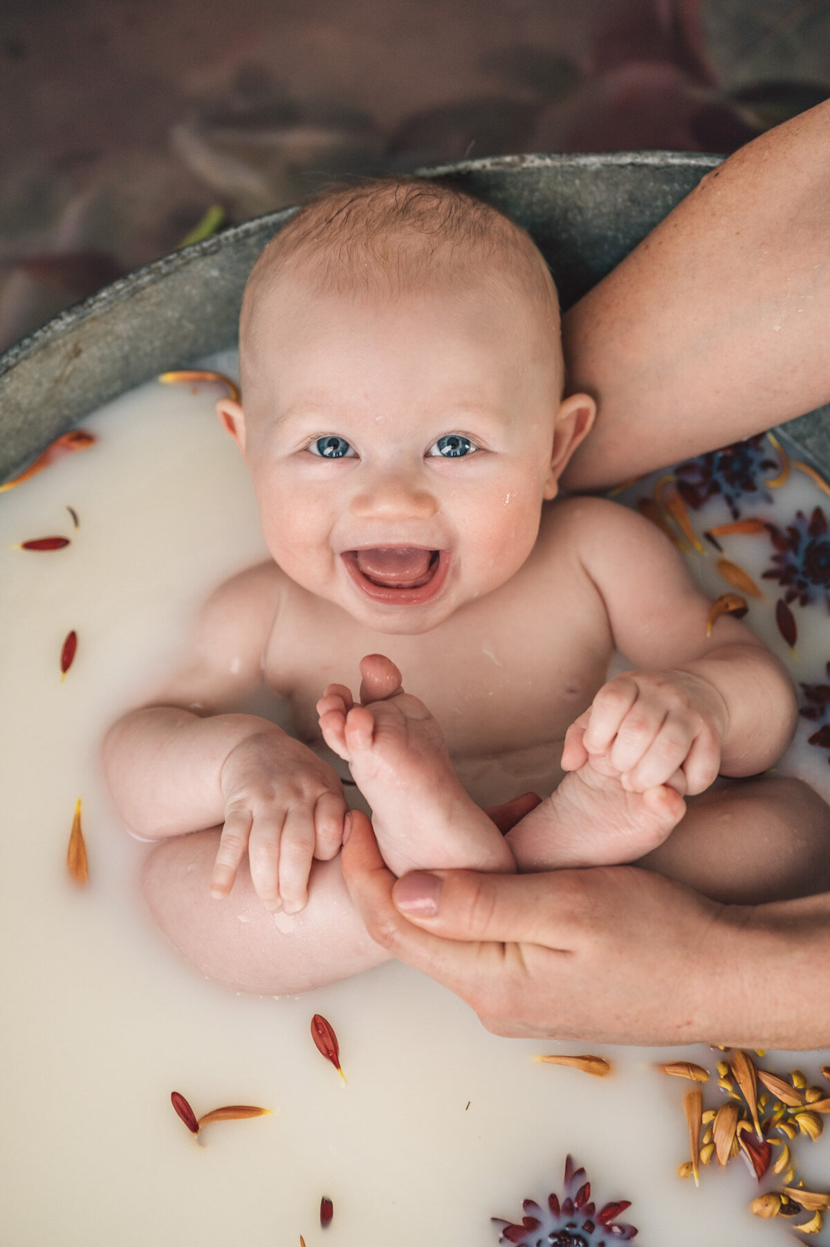 yellow and orange flowered milkbath