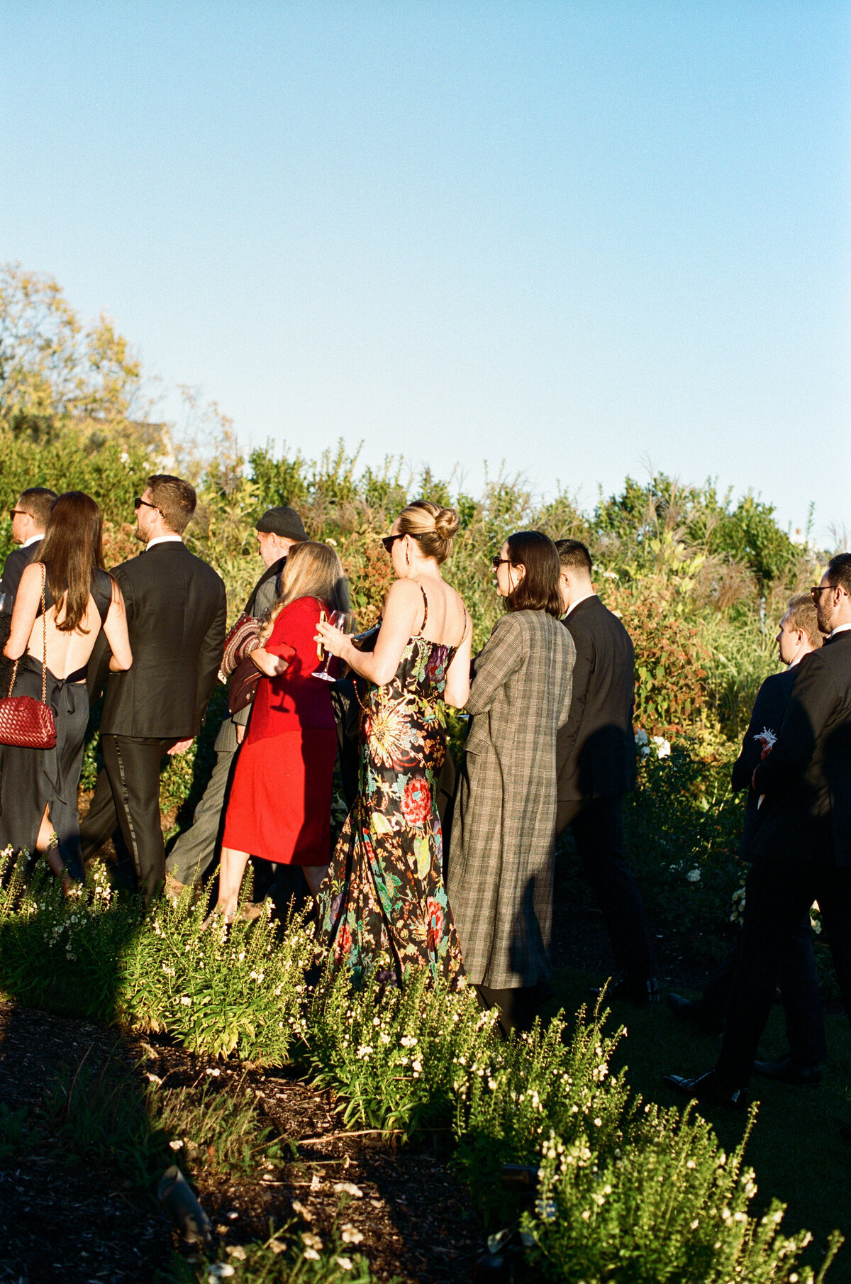 Rebecca&Daniel-19