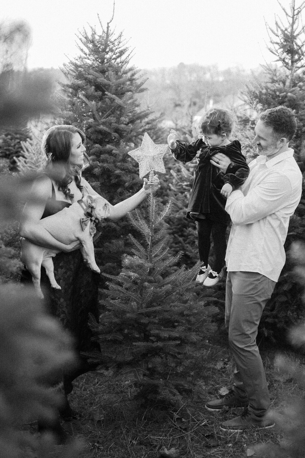MaineFamilyPhotographerDarling_0034