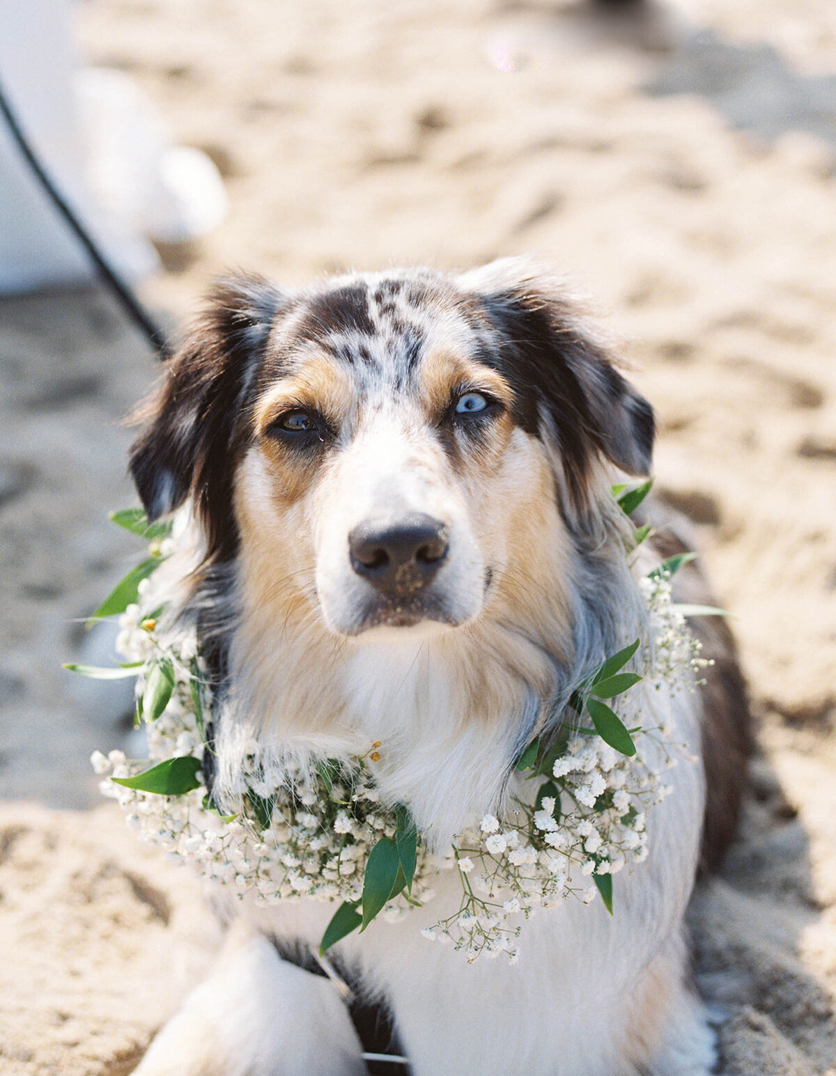 block island rhode island wedding-004