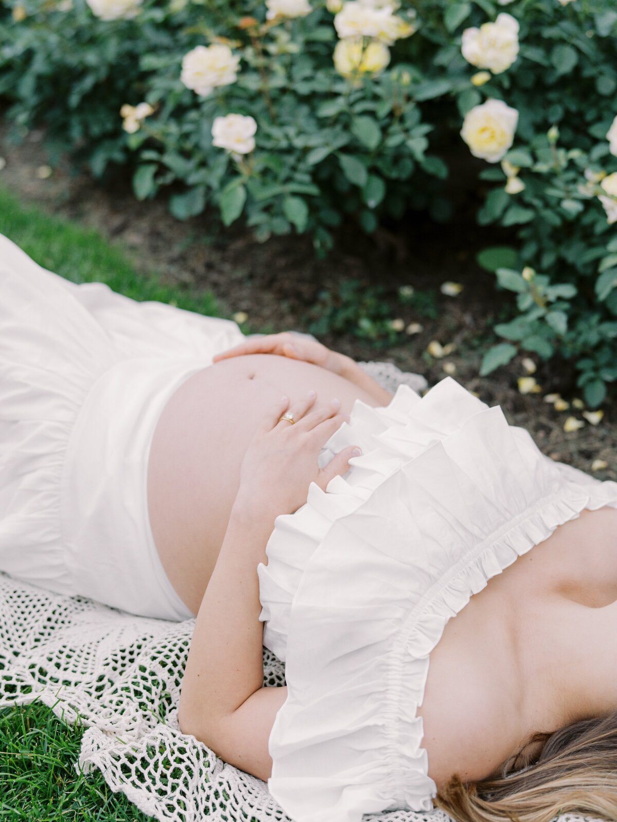 rose-garden-maternity-photos-northern-virginia-maternity-photographer8