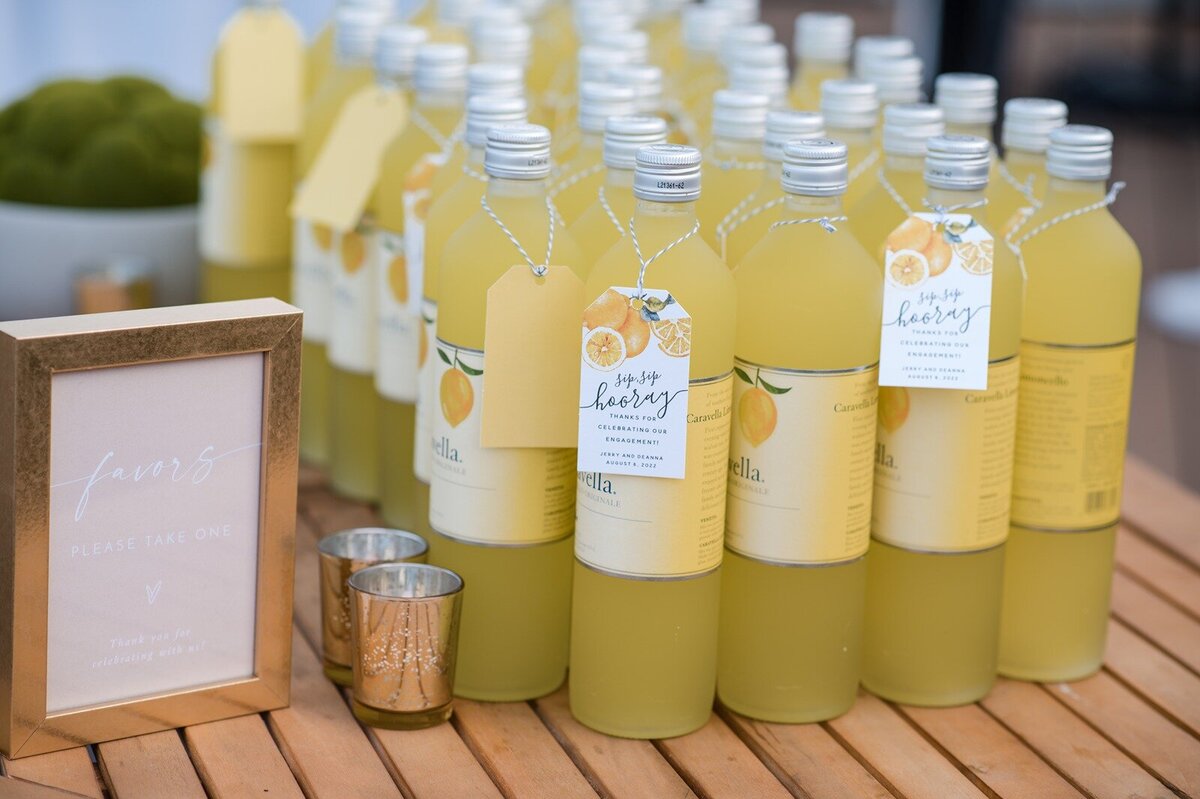 HT-Engagement-Rooftop-Hoboken-Deanna & Jerry (22)