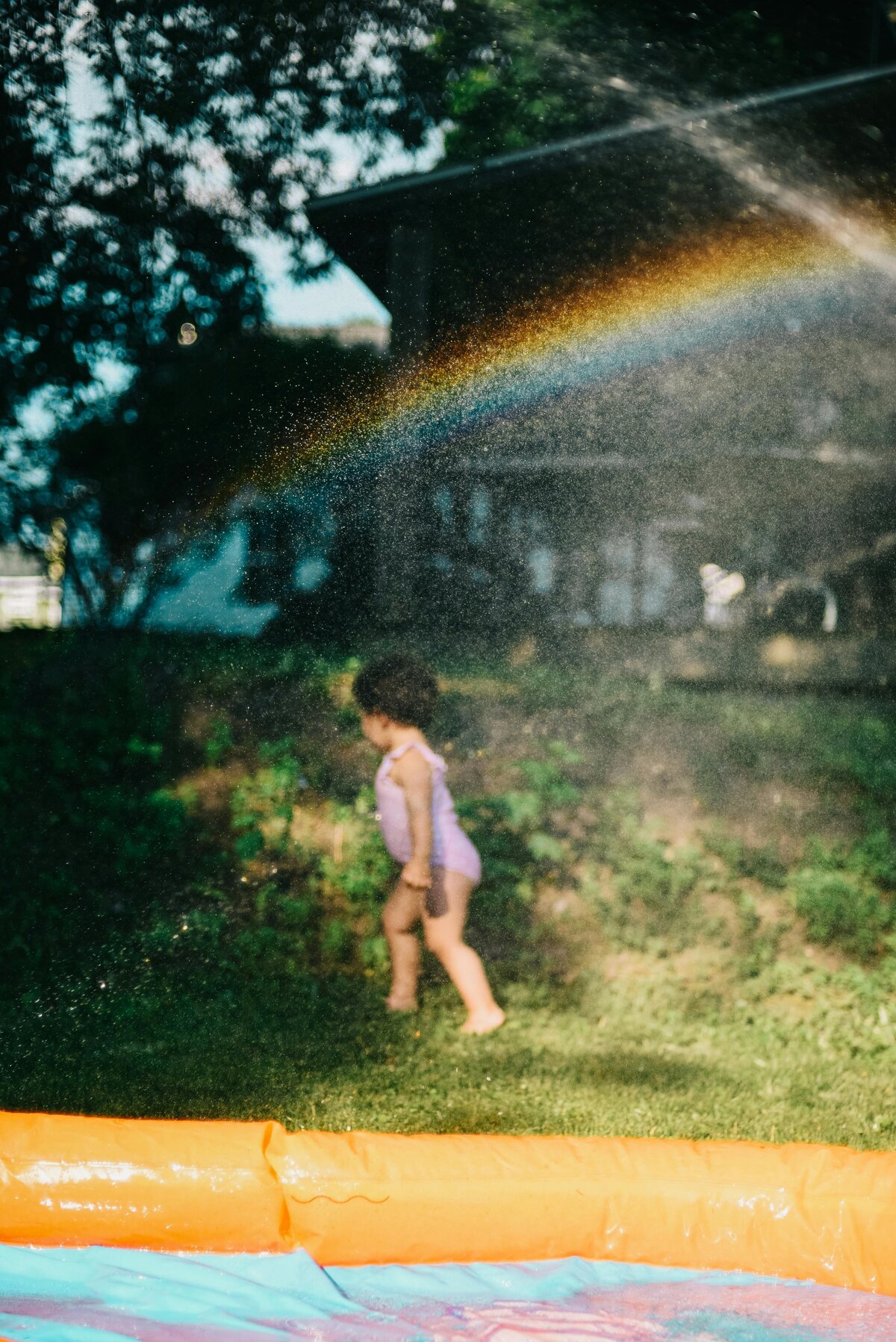 pexels-emma-bauso-2253885