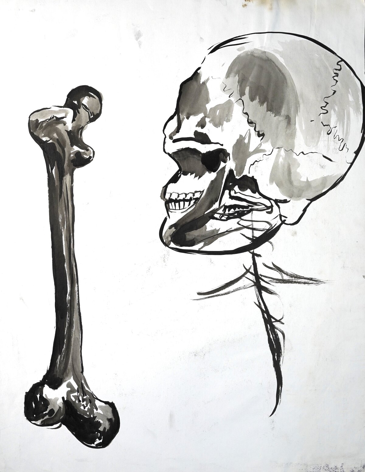 Brent Ray Fraser Anatomical Drawings 2001 - 06