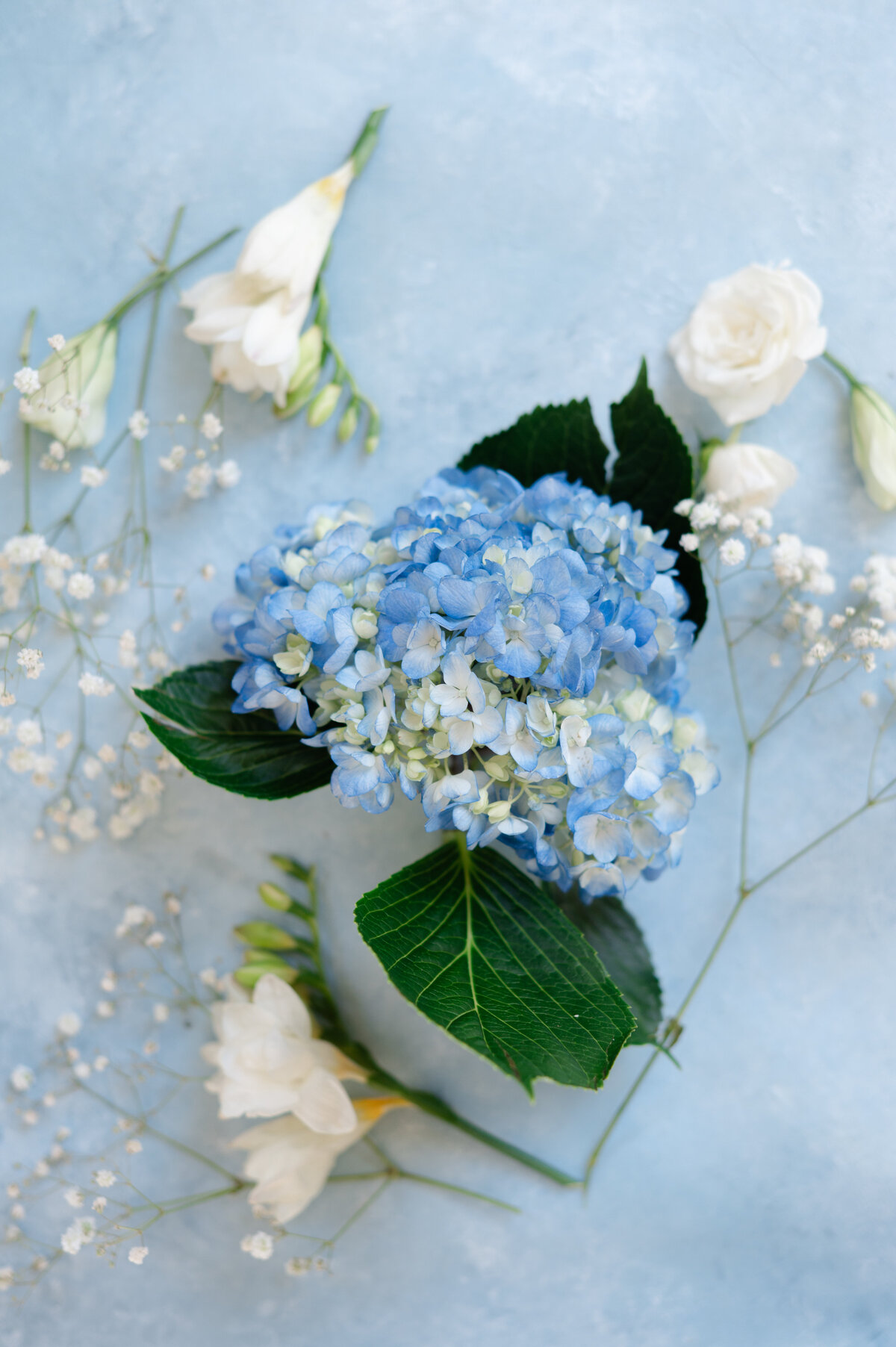 E&JWEBSITE-7