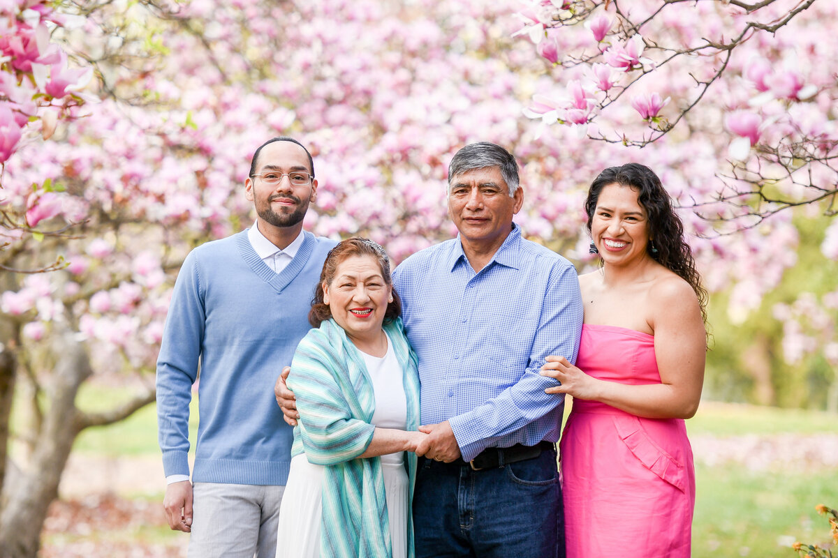washington-dc-magnolias-cherry-blossom-latina-peruvian-family-photographer