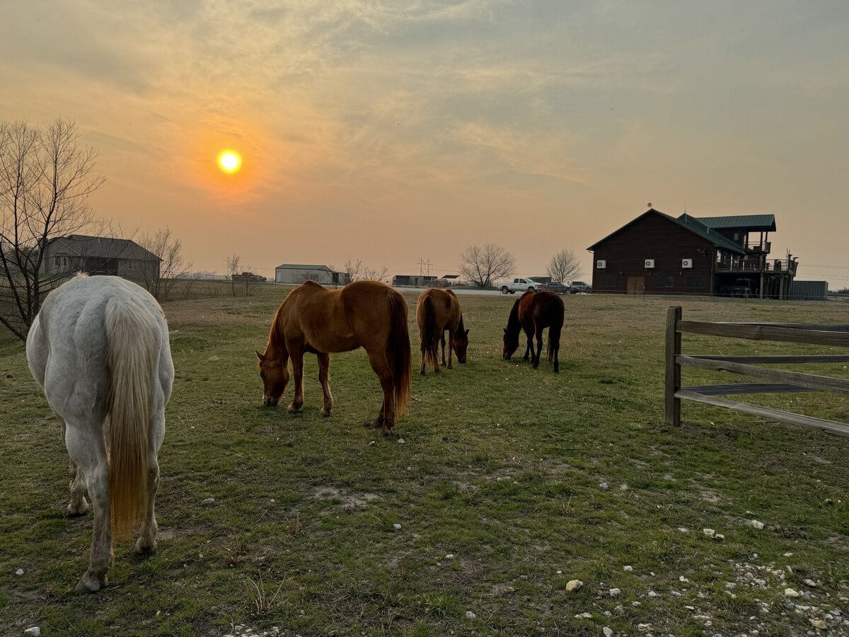 Horses & Lodge at Sunset 