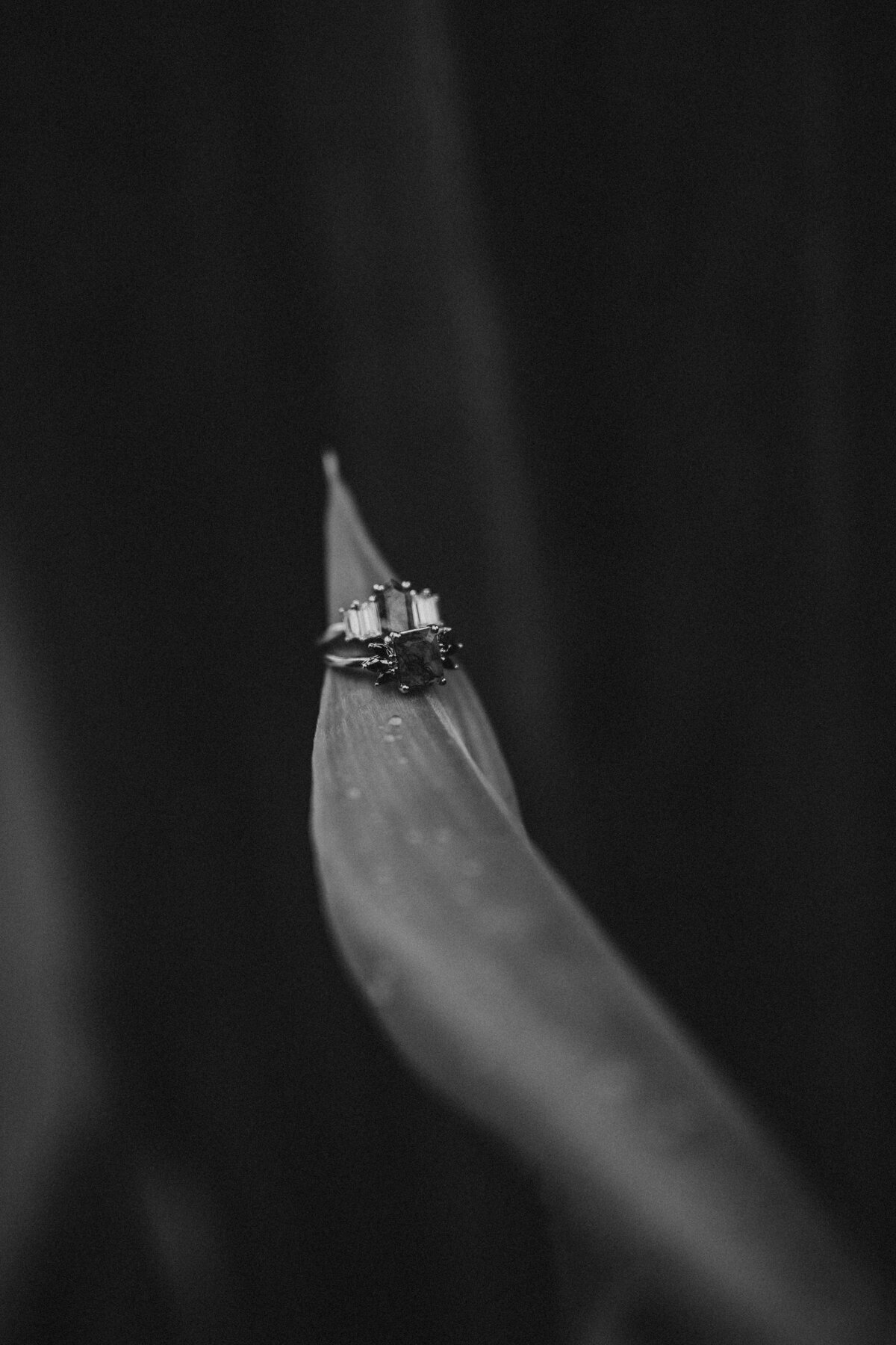 Garfield-Conservatory-Elopement-Chicago-Photographer-Queer-Affirming-112
