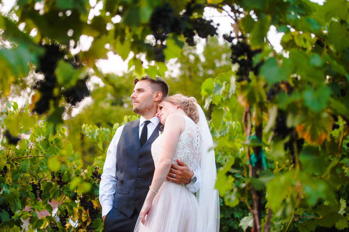 Newlyweds share a moment together in the grapes at Chandler Hill Vineyard.