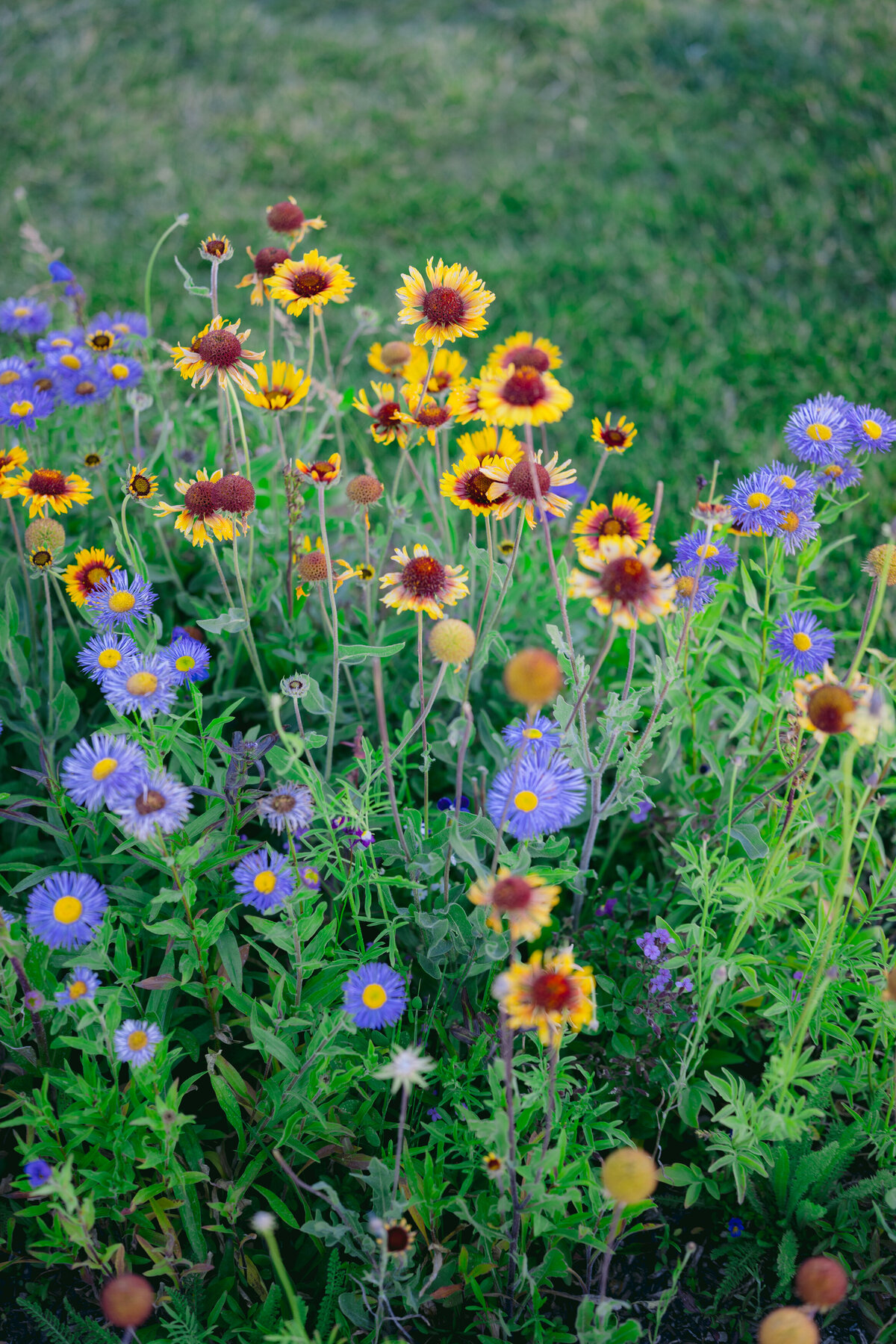 Aspen-Wedding-0126