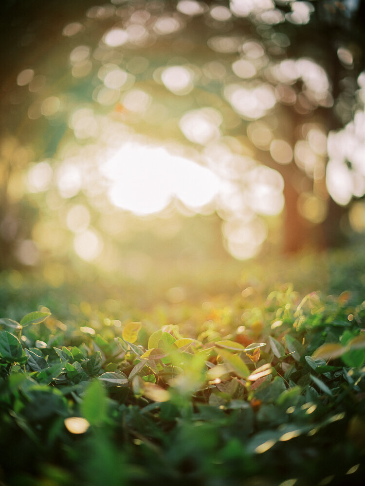 PALMETTO_BLUFF_WEDDING_PHOTOS_BY_VITOR_LINDO-11