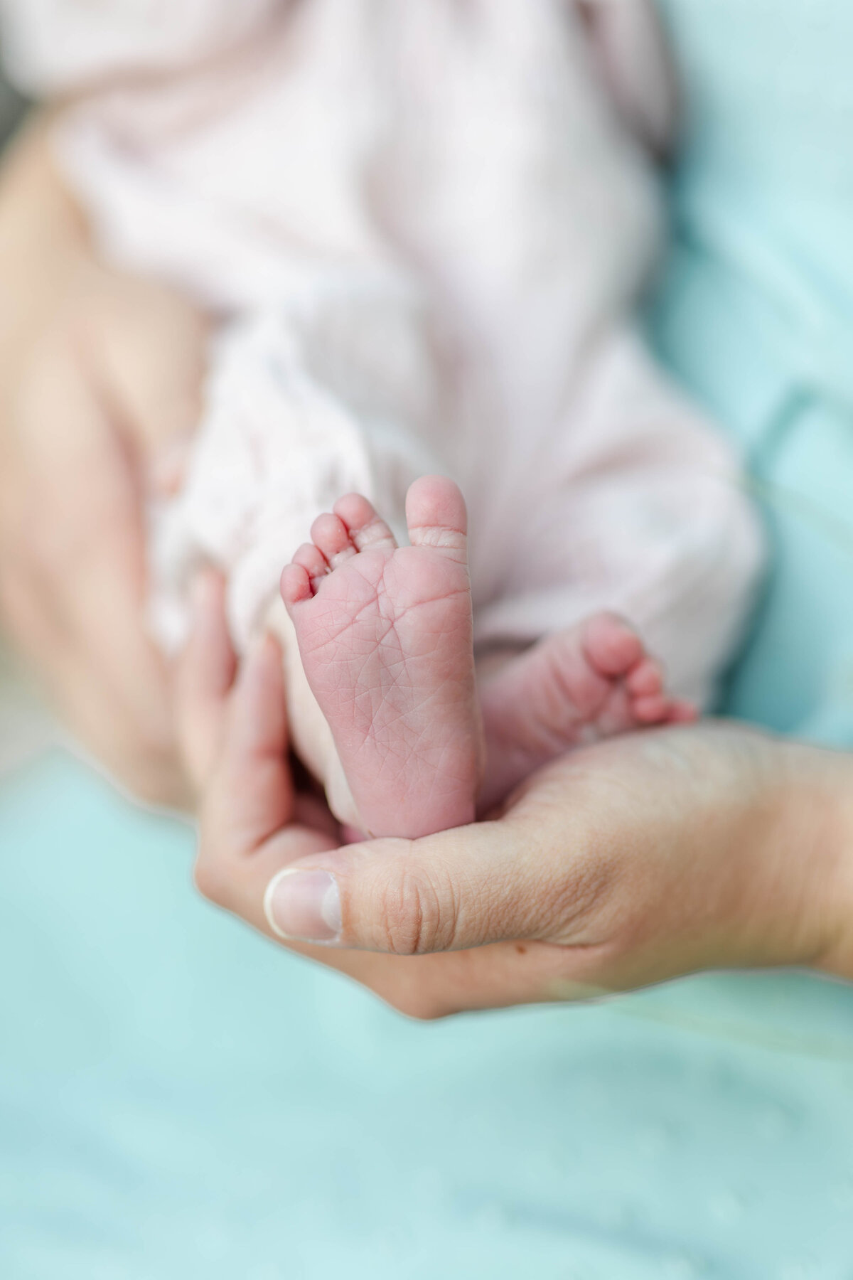 Prien_Family_Newborn-31