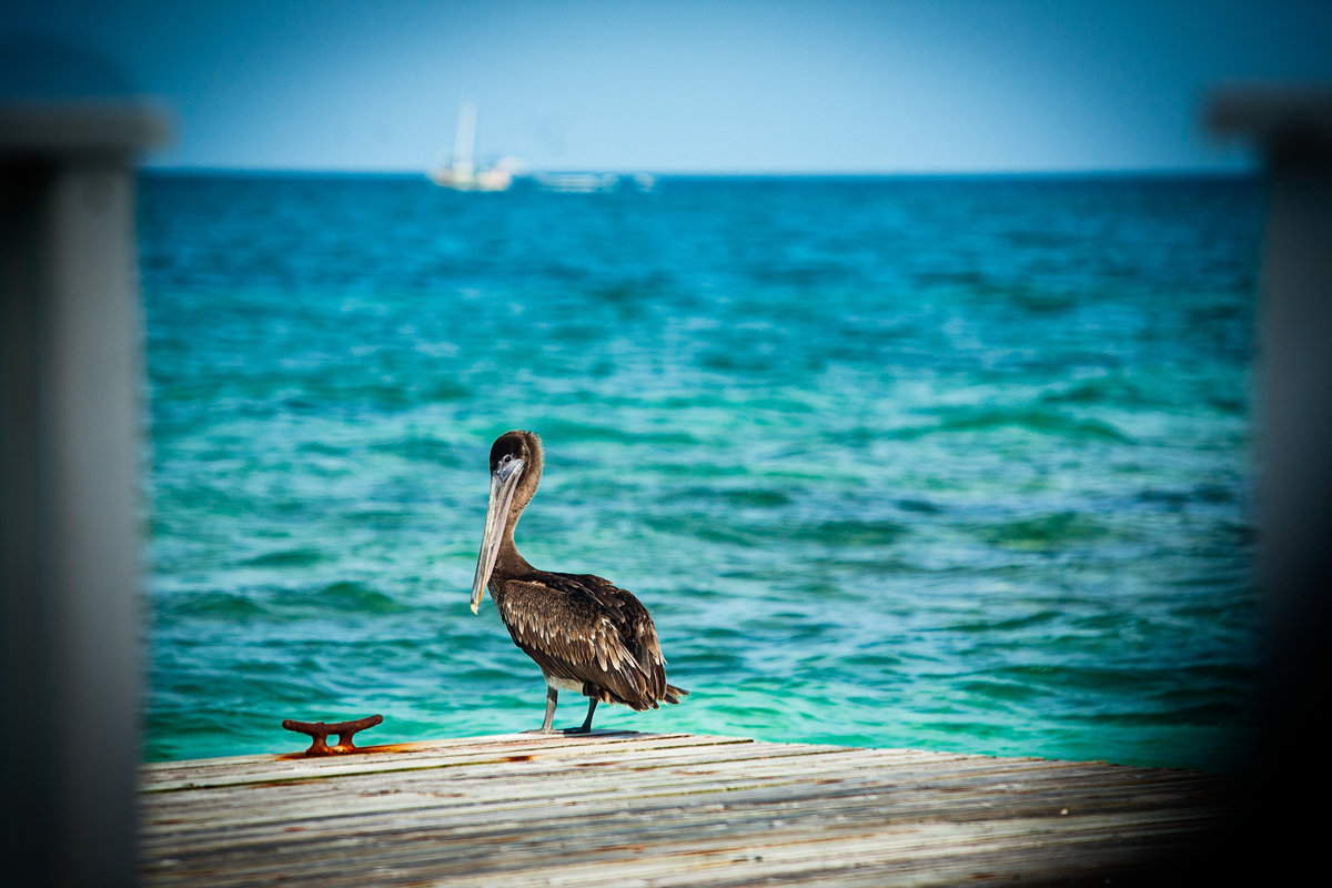 20160724_AshleyDavid_Belize_wedding_2_0679-1942