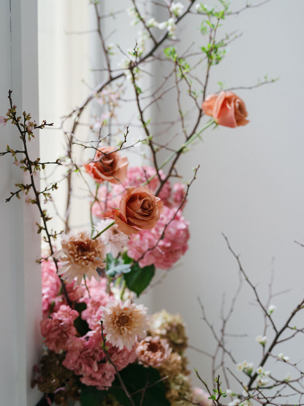 EditorialatEmersons2025159989