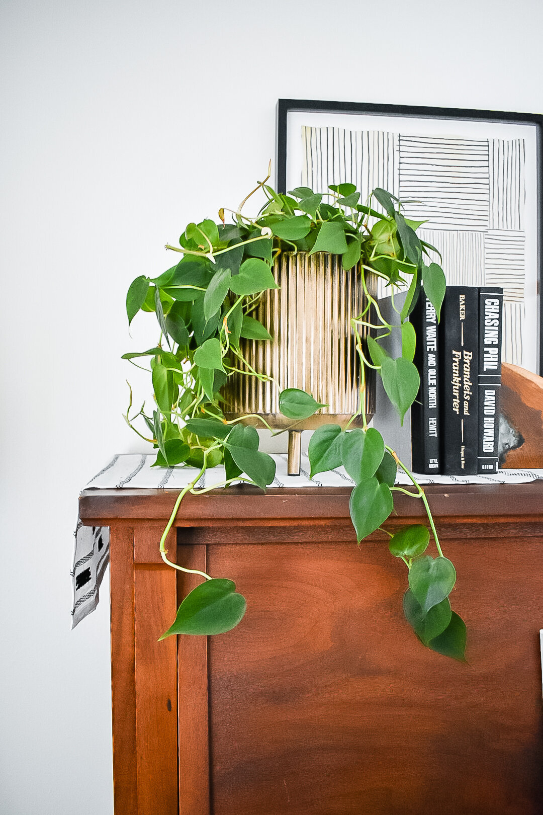 A pothos plant hangs over the edge of a tall wooden piano