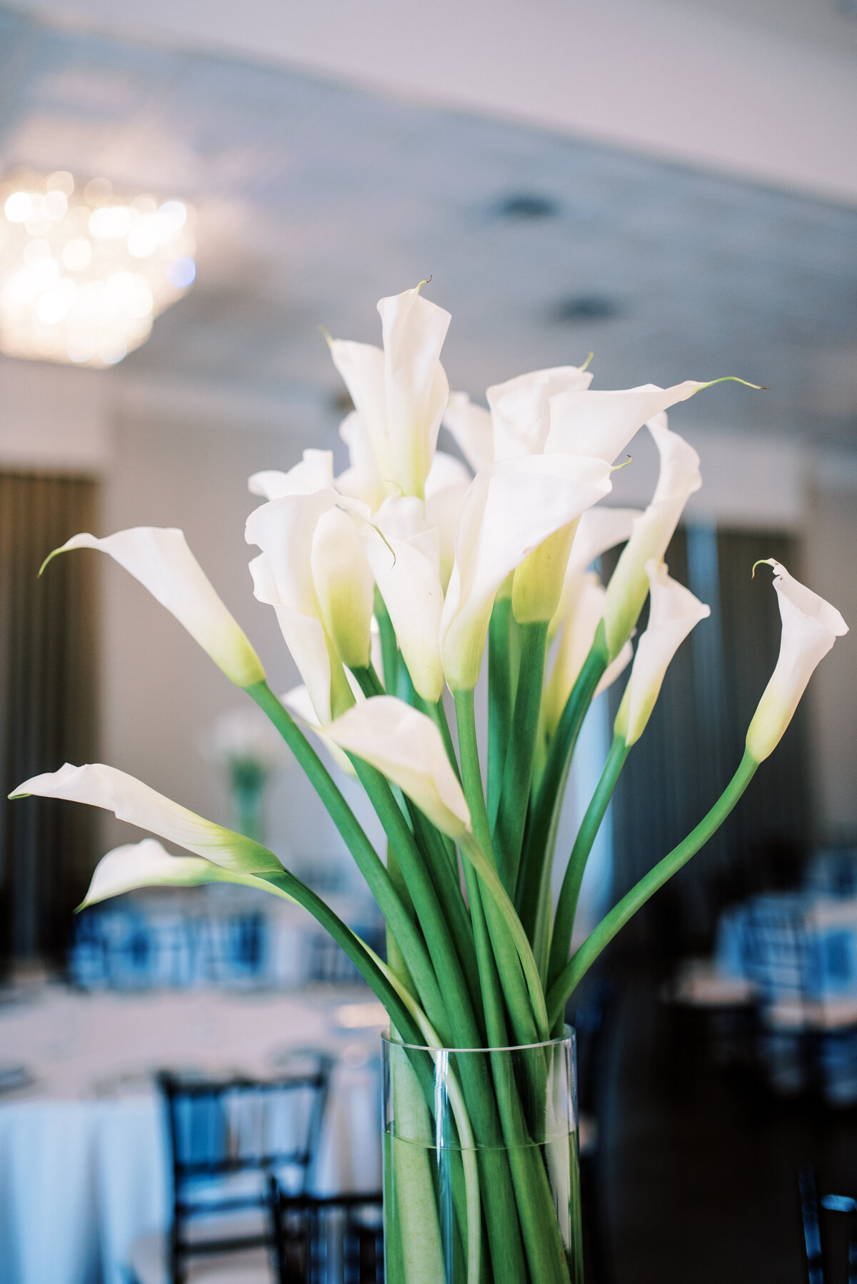 In Time Weddings & Events Houston Texas Greater Houston Texas Wedding Event Planning Planner Destination Weddings Chardae Renée DeTerlizzi33