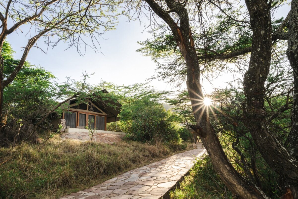 TAASA Accommodation - Tented Suite (1)