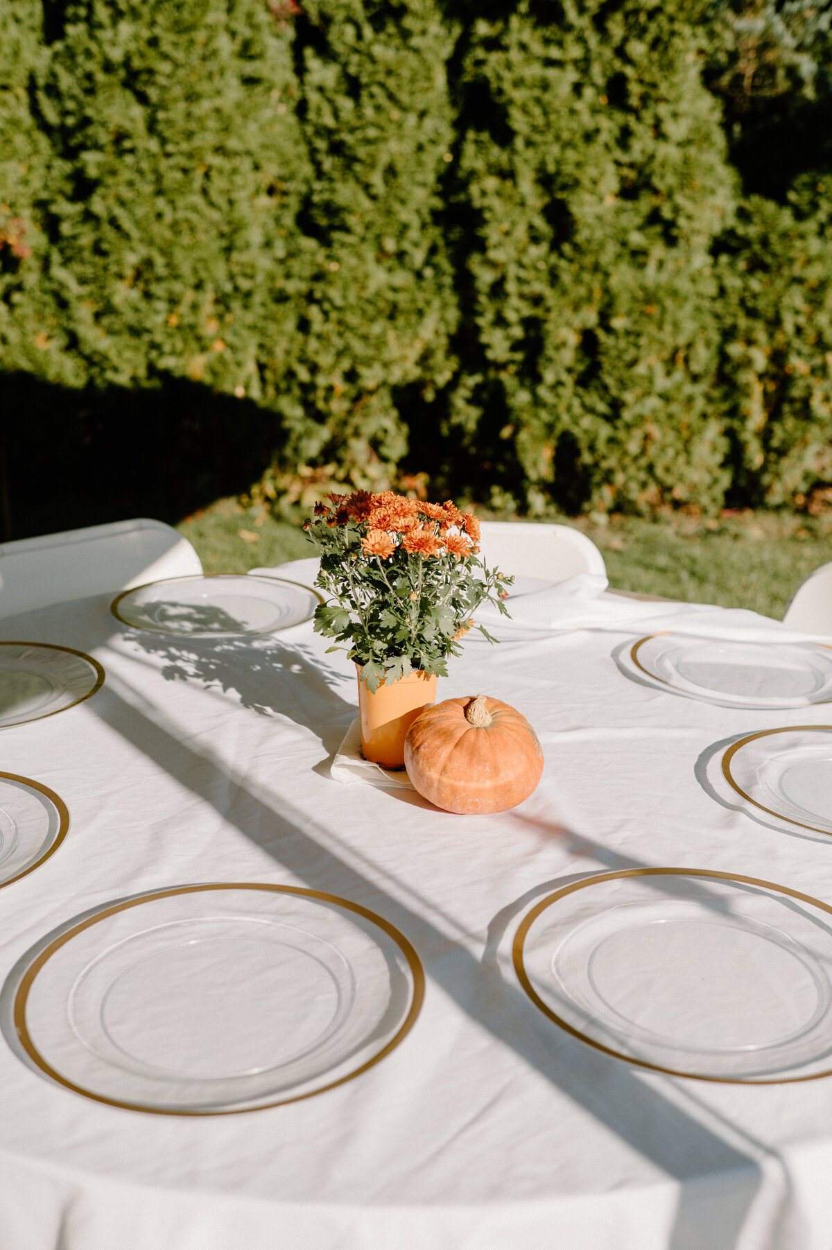 Jeannine Lombardo Photography (1 of 4)