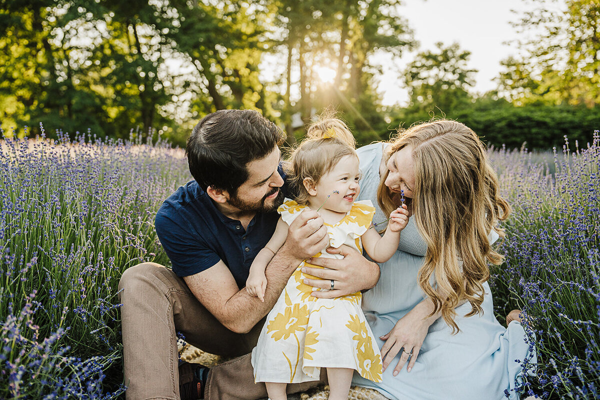 family laughs with toddler girl in a boston lavender field