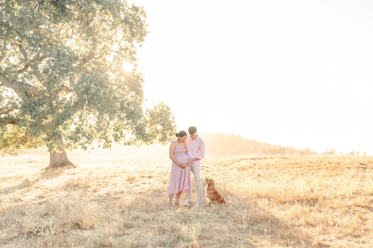 san-francisco-bay-area-maternity-photographer-46