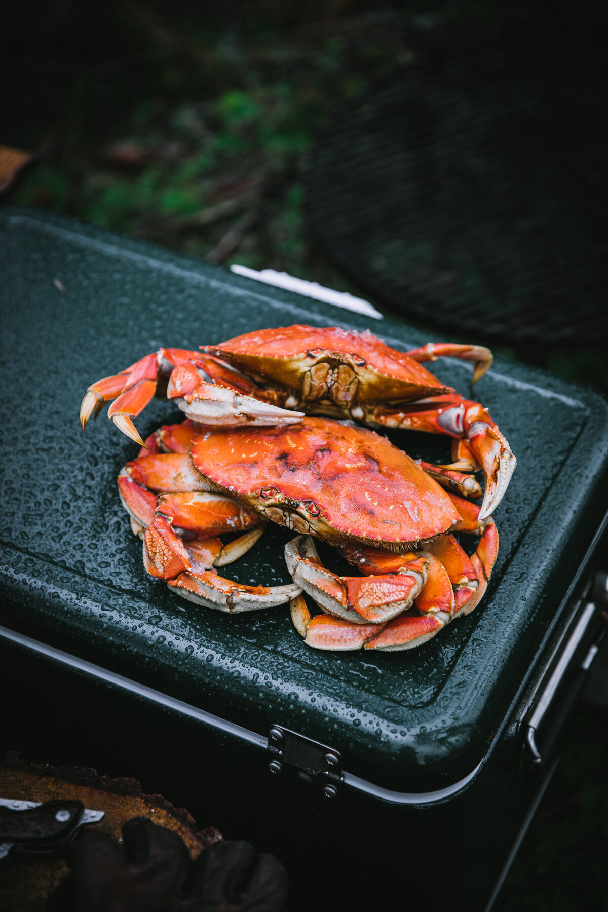 Tournant x Filson-56