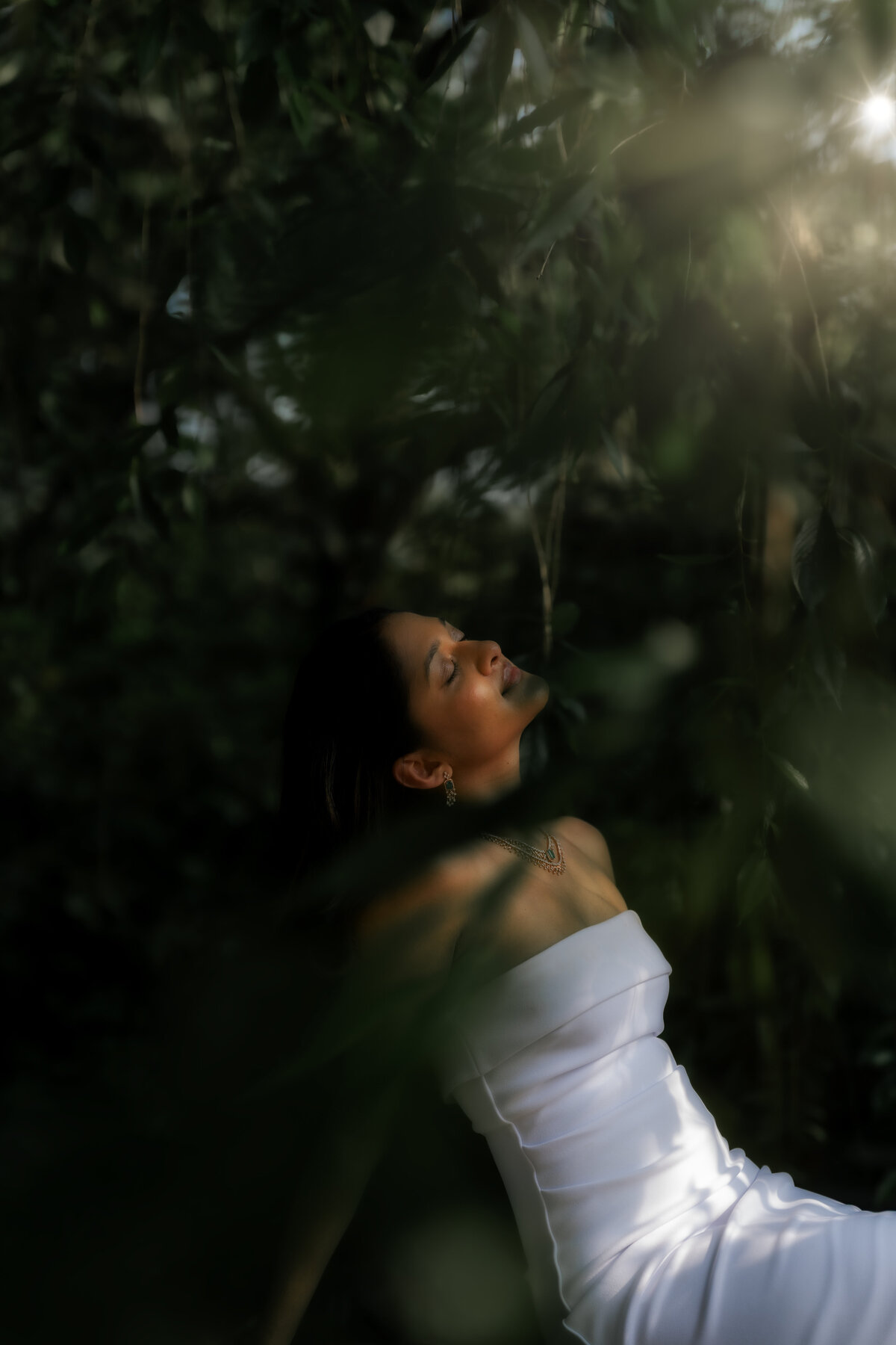 AR508225-Edit