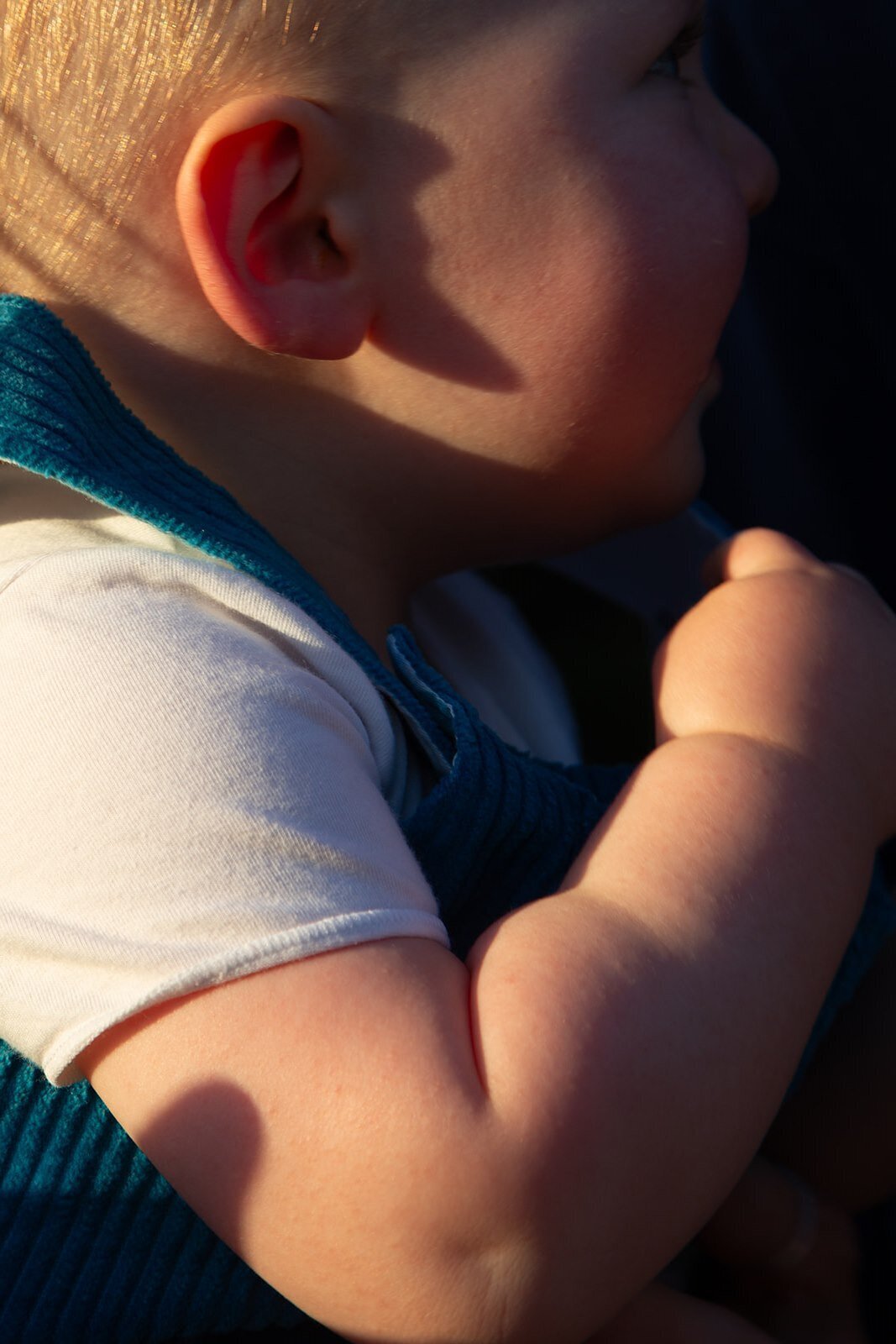 family photoshoot-williamstown beach-04