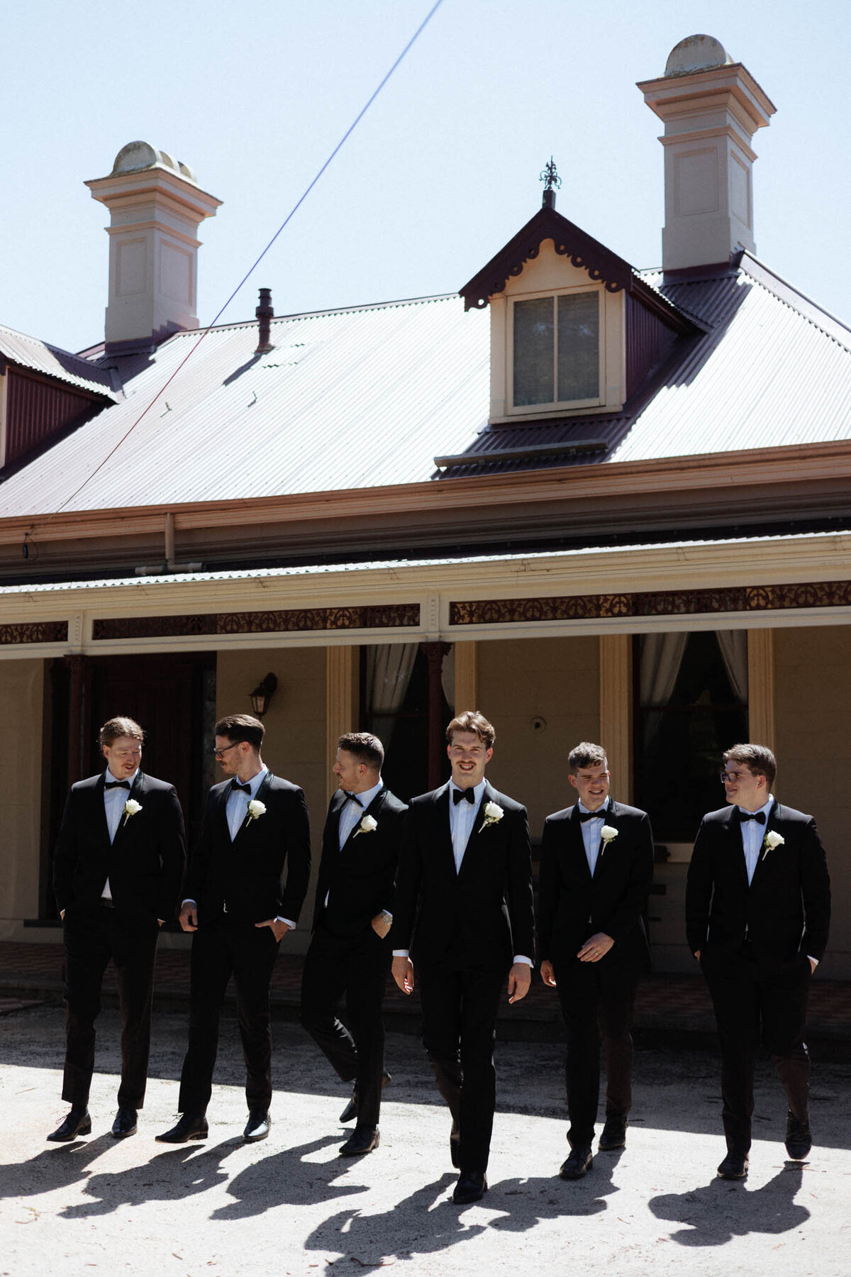 Sneak Peeks-8