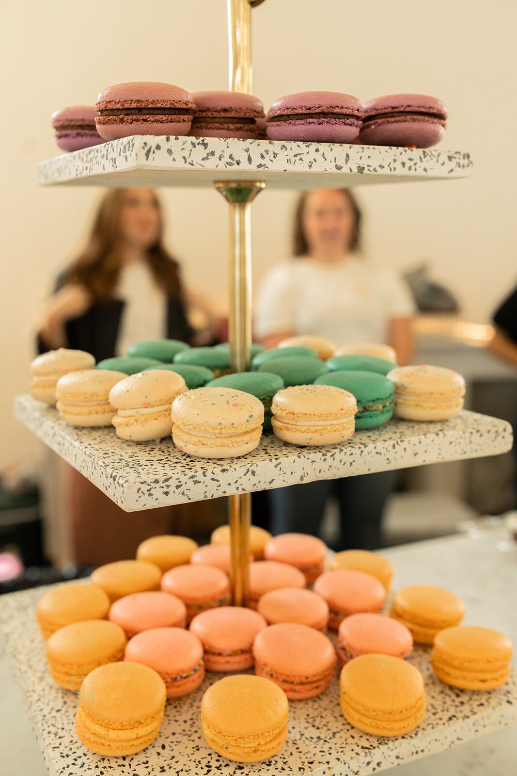 Reival Collective Cleveland 14