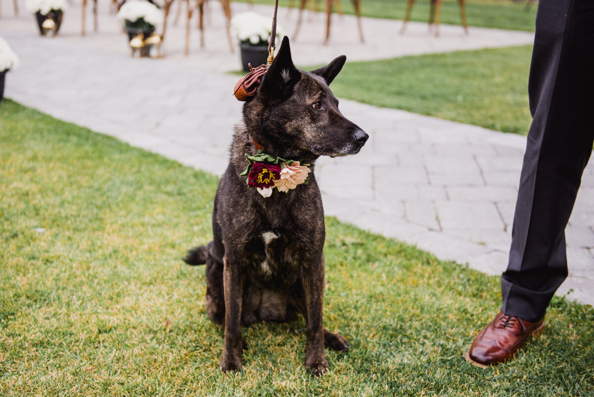 ERINSWEETPHOTOGRAPHY_CANMORE_WEDDING_PHOTOGRAPHY-17