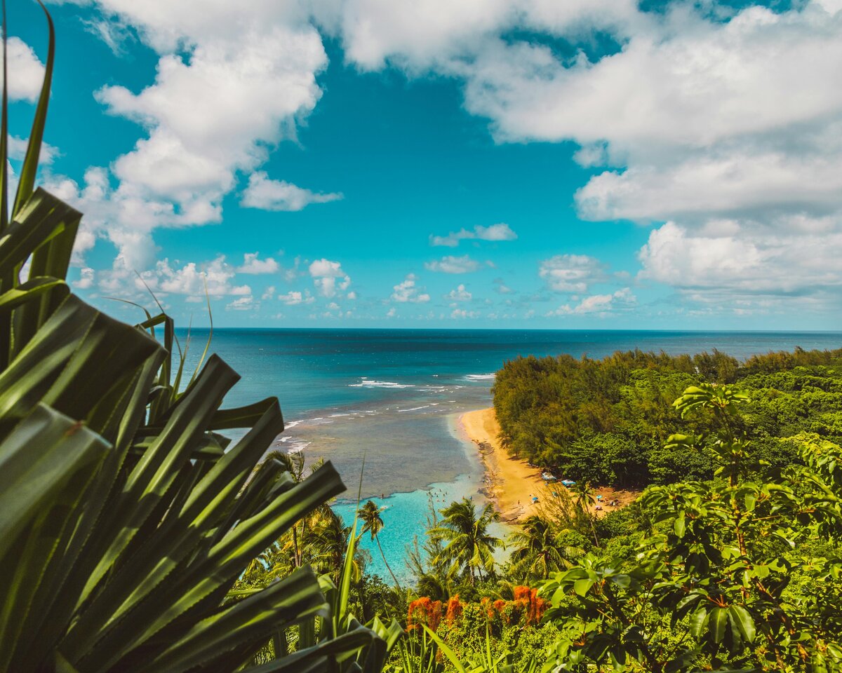 Hawaii Coastal Vacation Designs Palmer Template