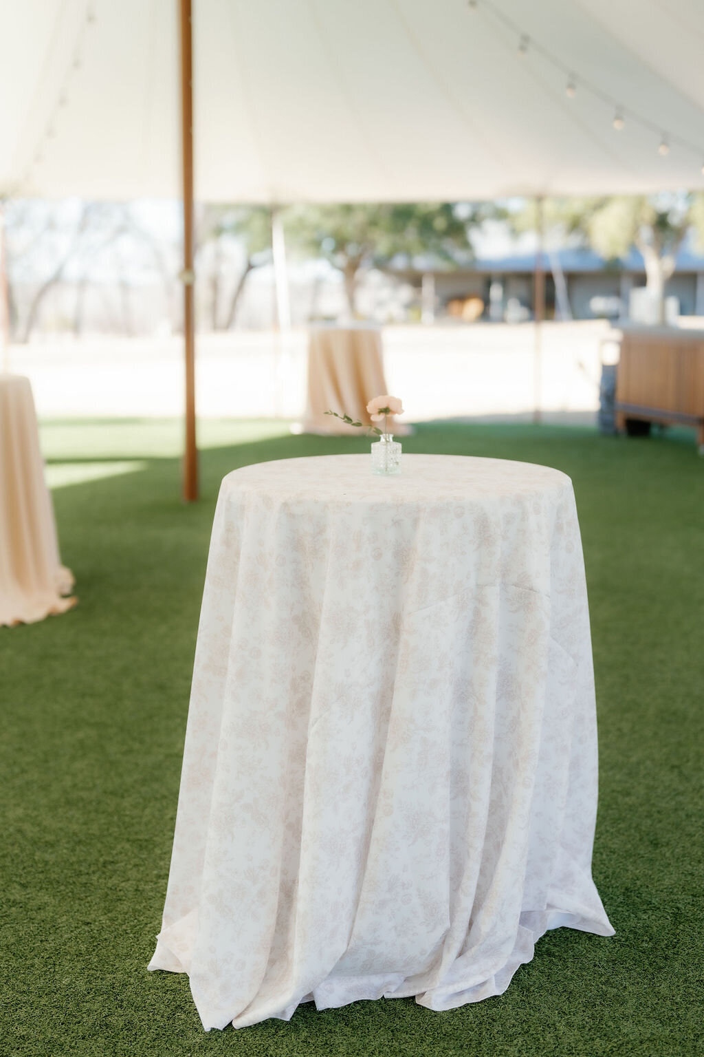 Arrowhead-Hill-Wedding-Michelle-Ben-Sonia-Alexandria-Photography-476