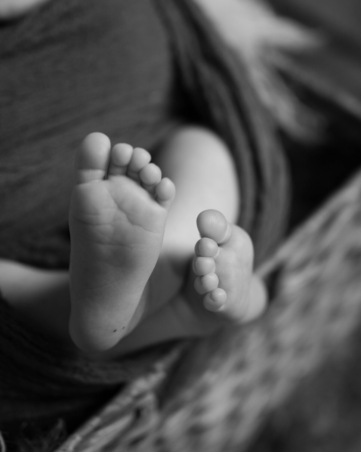 Taylor Elizabeth Photography Weddings and Lifetyle Photographer in Indiana Maternity + Family Photo 28