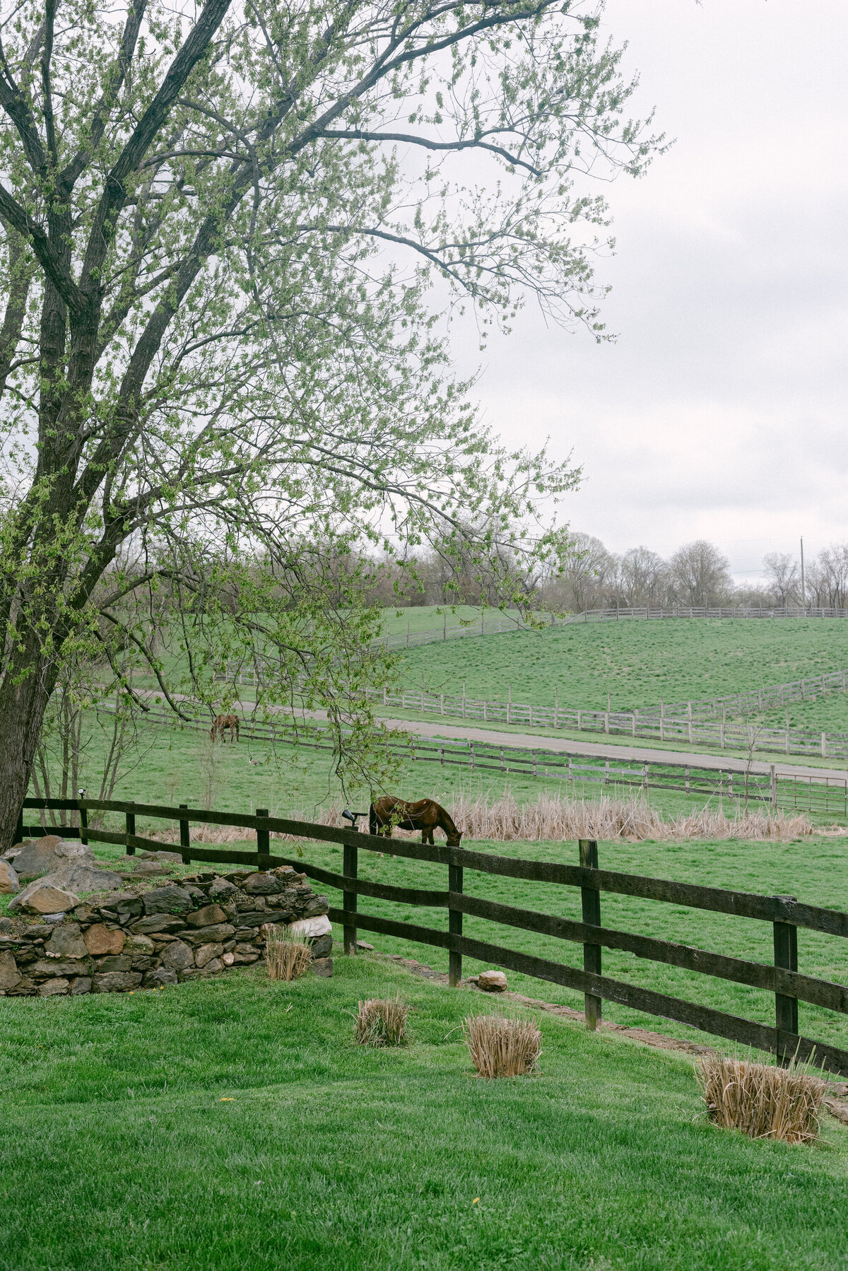 Virginia-barn-farm-weddings-tranquility-farm00001