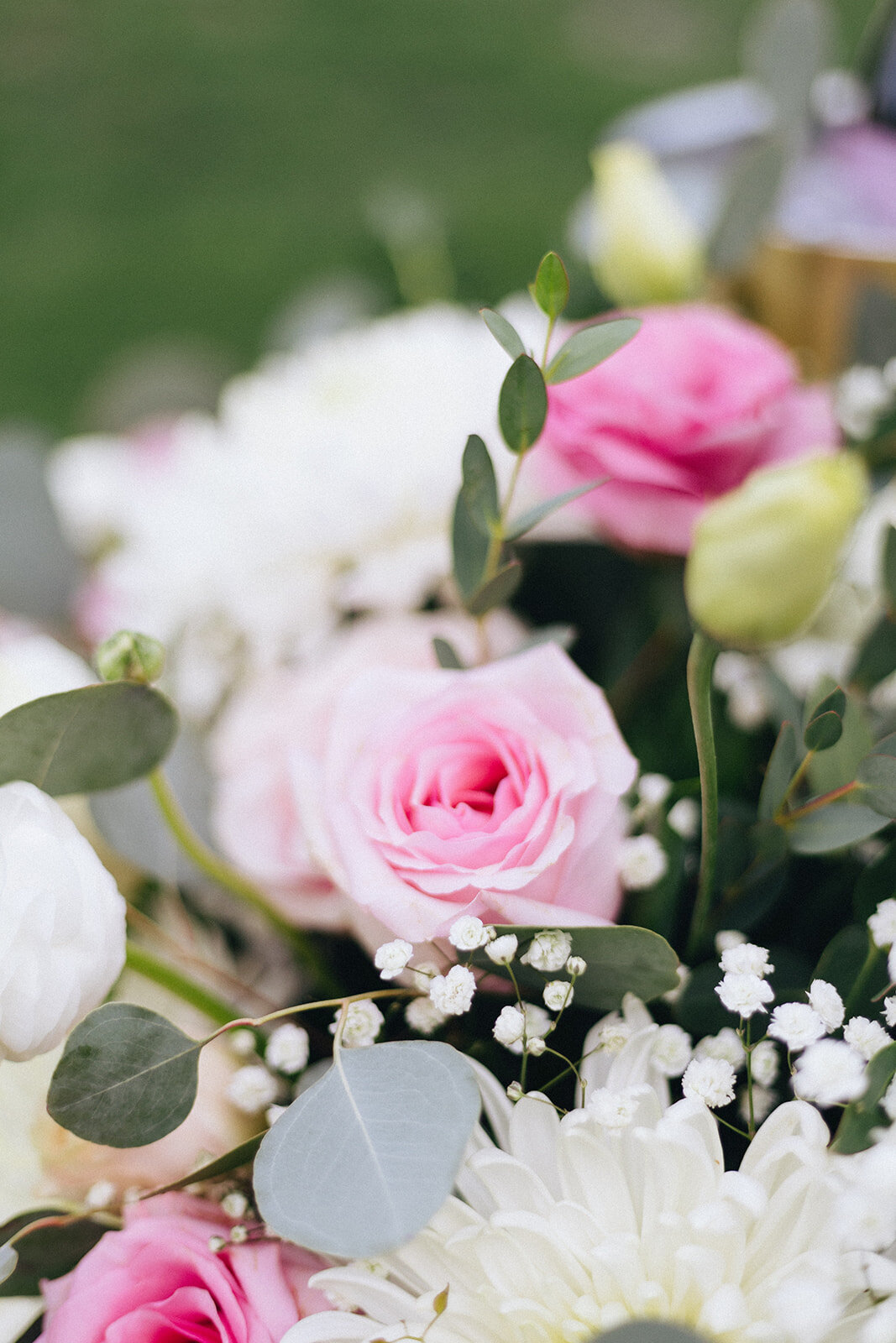 miranda-rose-photo-north-straub-park-elope-in-florida-chantilly-chic-celebrations-4