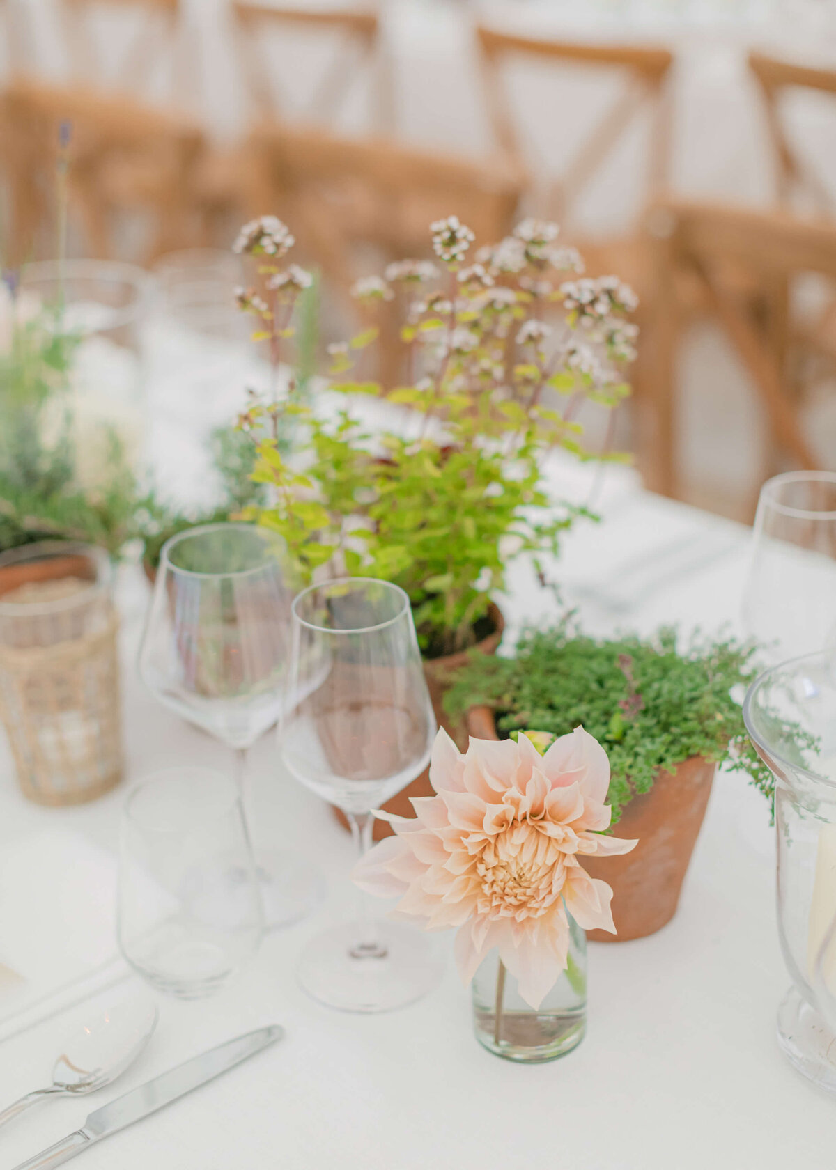 chloe-winstanley-weddings-italian-tablescape-dahlias