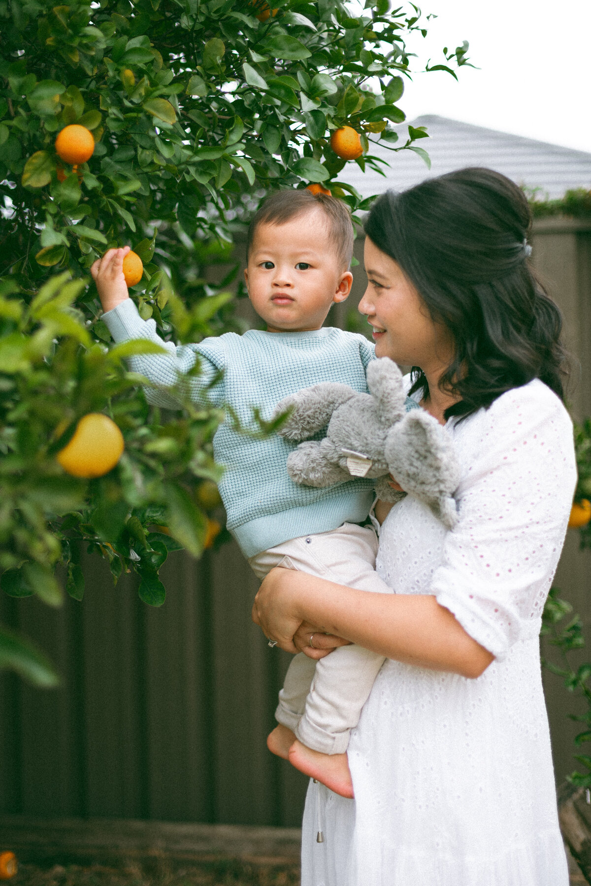 Lee Family_daydreamer preset trial-12
