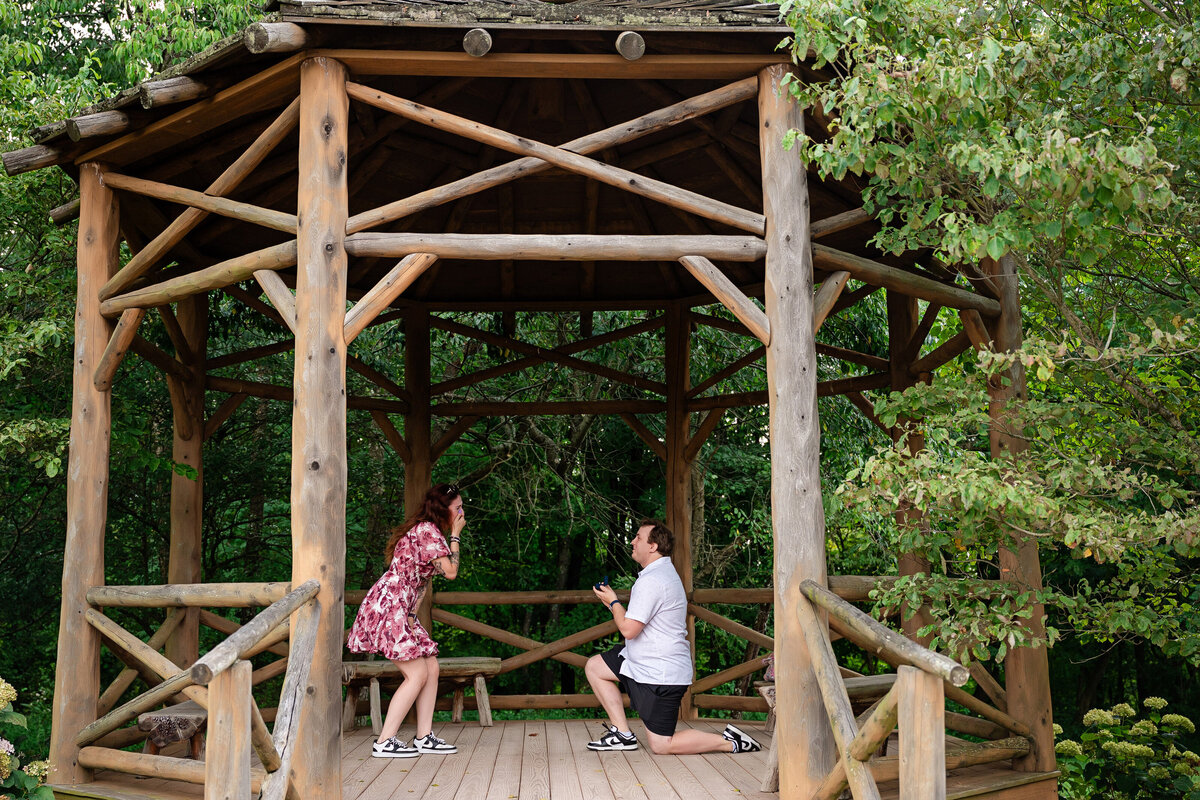 Pittsburgh botanic garden proposal