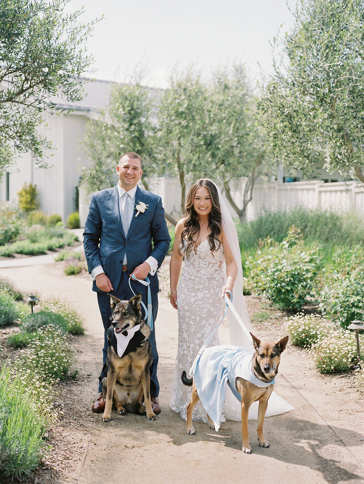 Luxury-Wedding-The-Barn-at-Harrow-Cellars-Sonoma-CA85