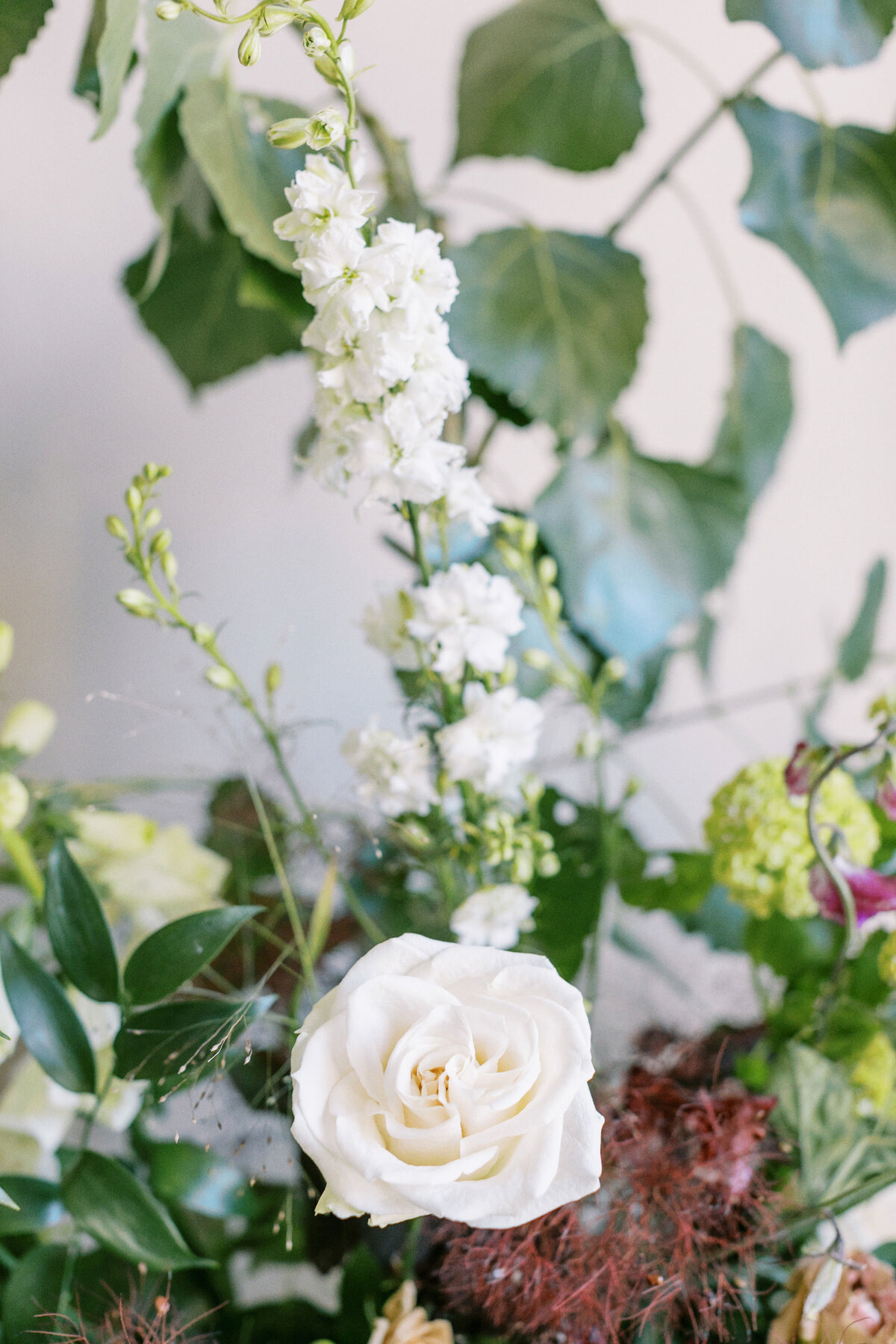 DryCreekBlossomsJodyAtkinsonPhotography_0111