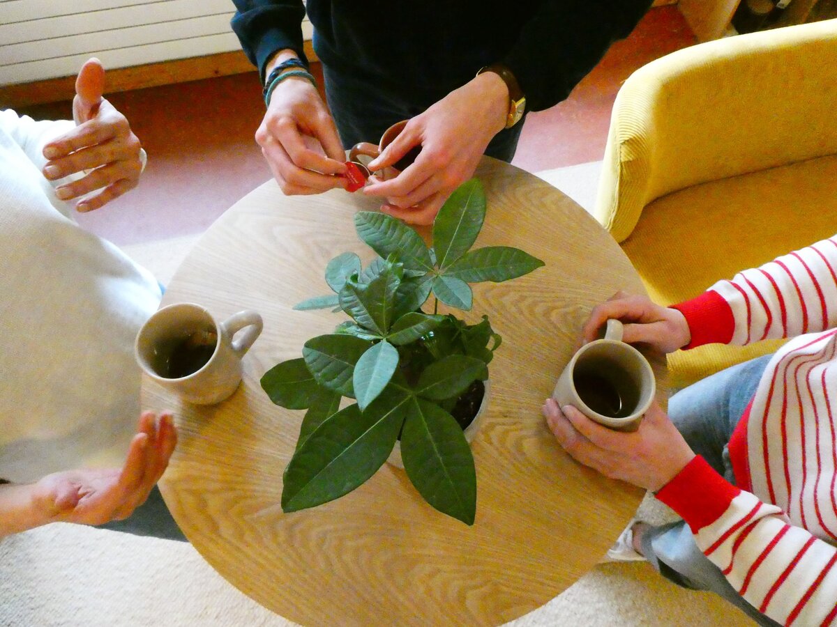 SATTVA mains pause café-min