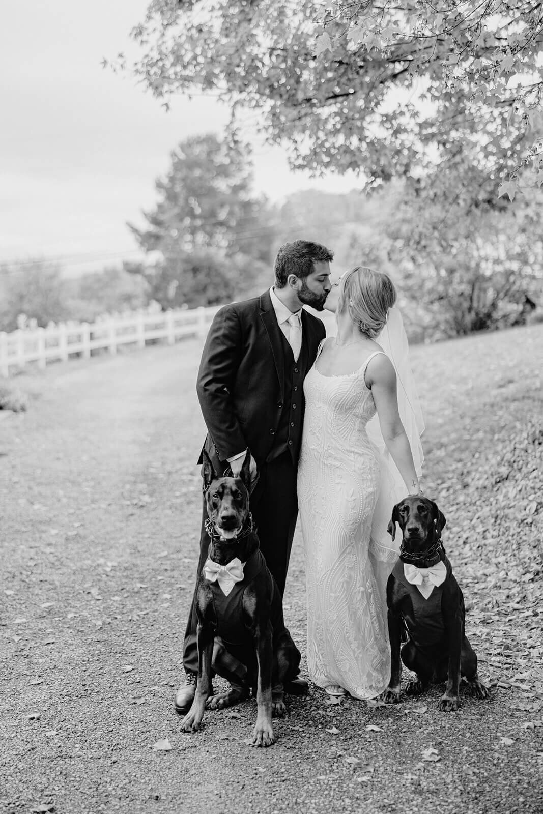 Bride and groom with dogs at Finger Lakes Wedding