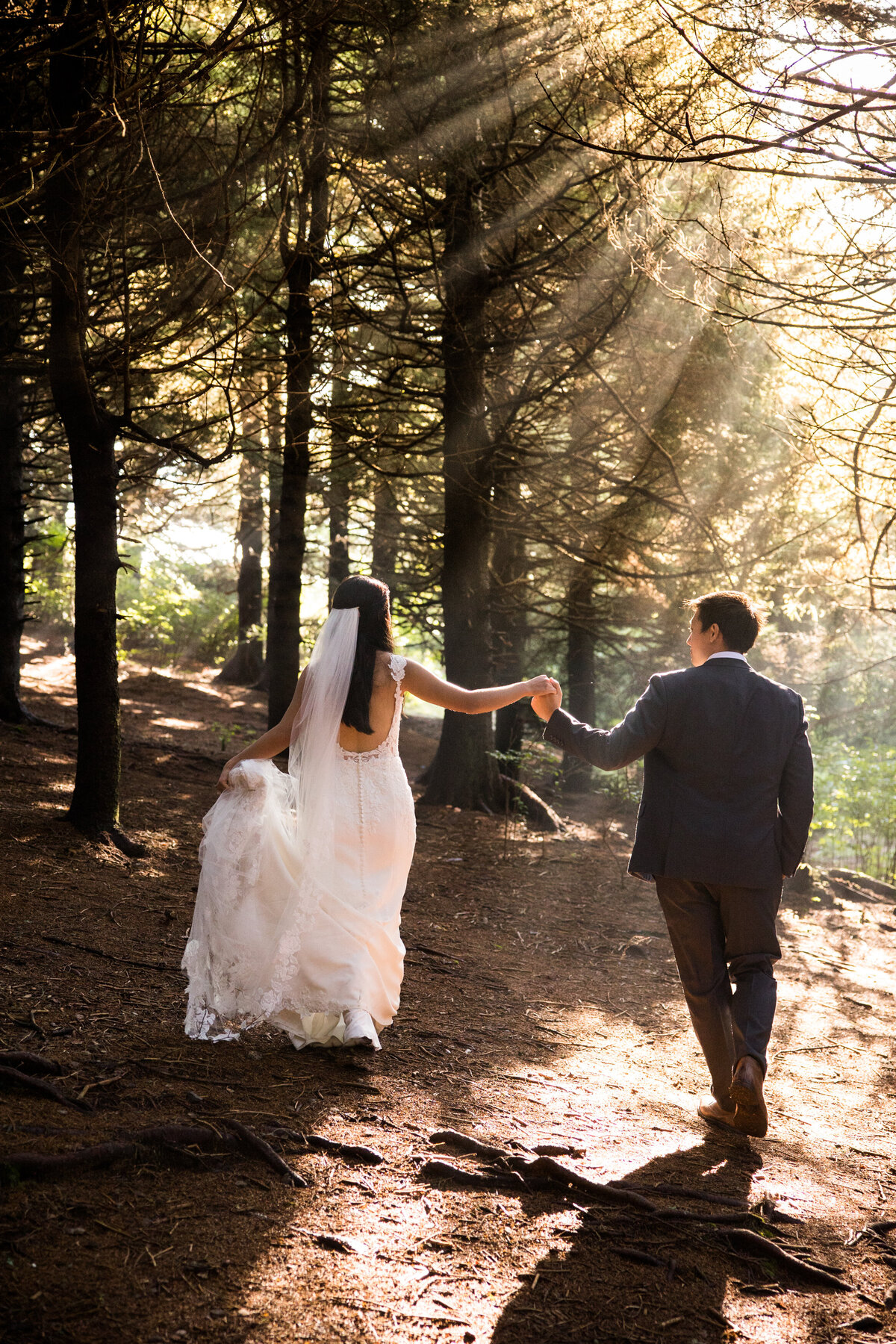 couple walks away hand in hand with sunlight streaming beautifully through the trees in the black balsam forest in asheville
